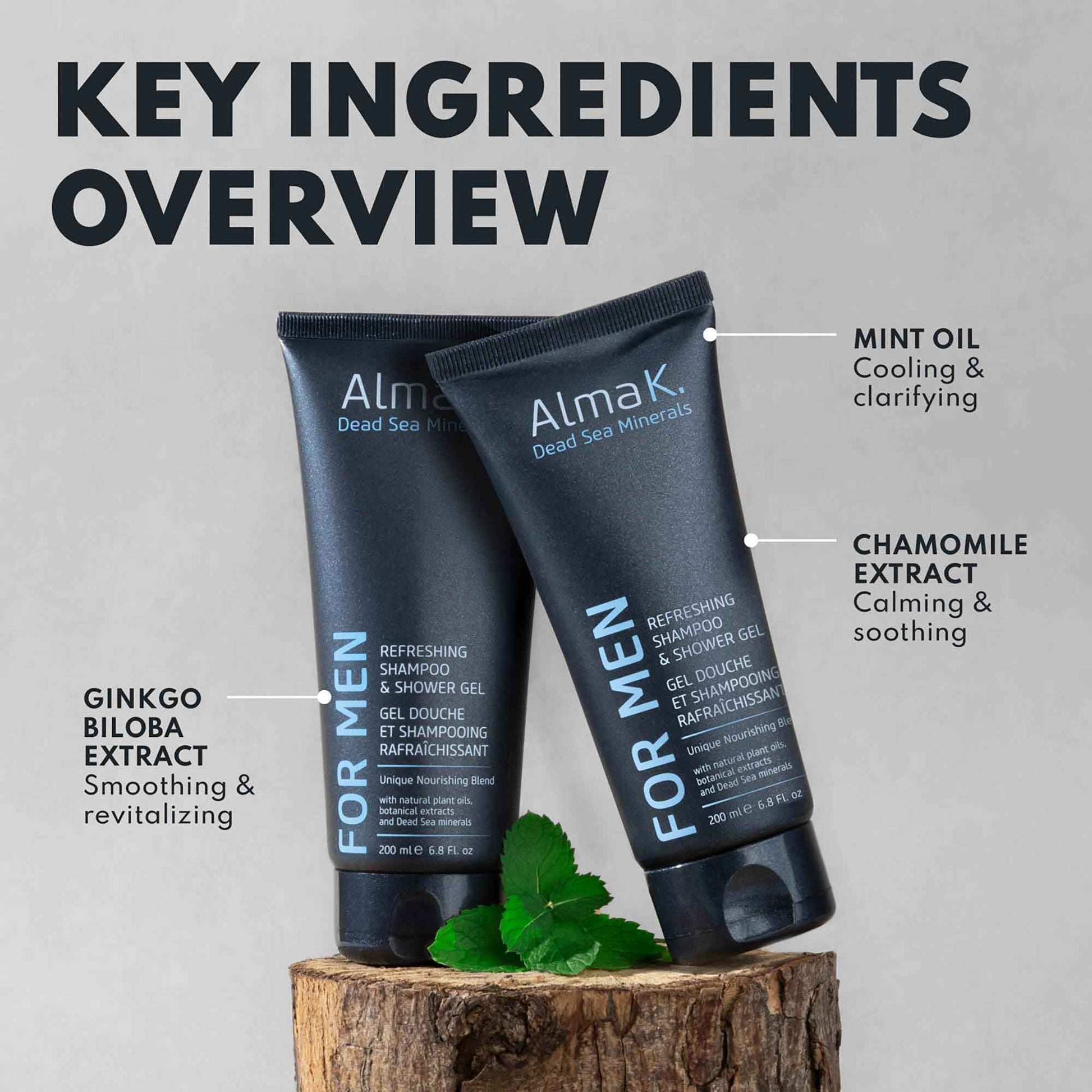 ALMA K Refreshing Shampoo and Shower Gel - 2 in 1 Mens Body Wash and Clarifying Shampoo - Antioxidant-Rich with Argan Oil, Dead Sea Minerals - 6.8 oz (Pack of 2)