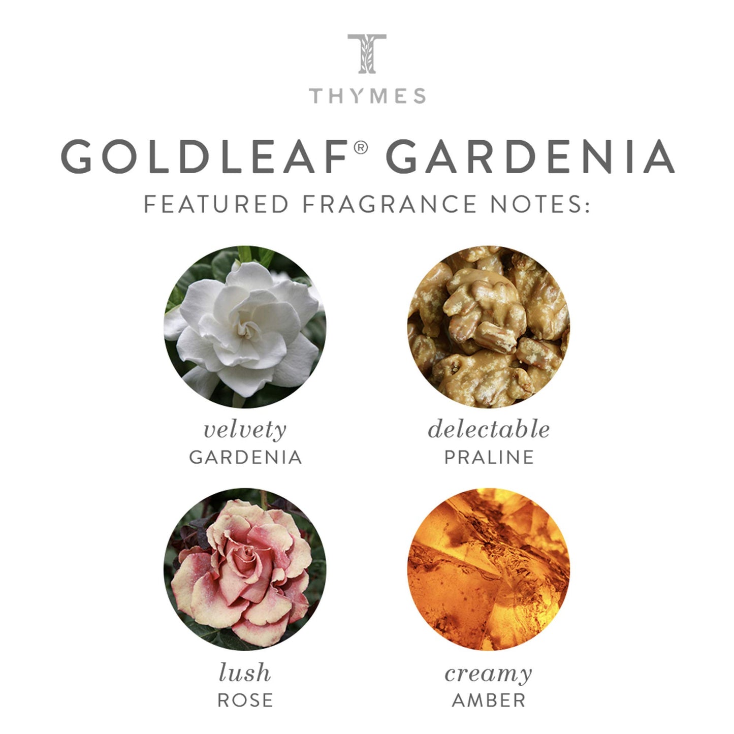 Thymes - Goldleaf Gardenia Luxurious Bath Soap - Naturally Conditioning Light Floral Scented Bar Soap - 6 ounce