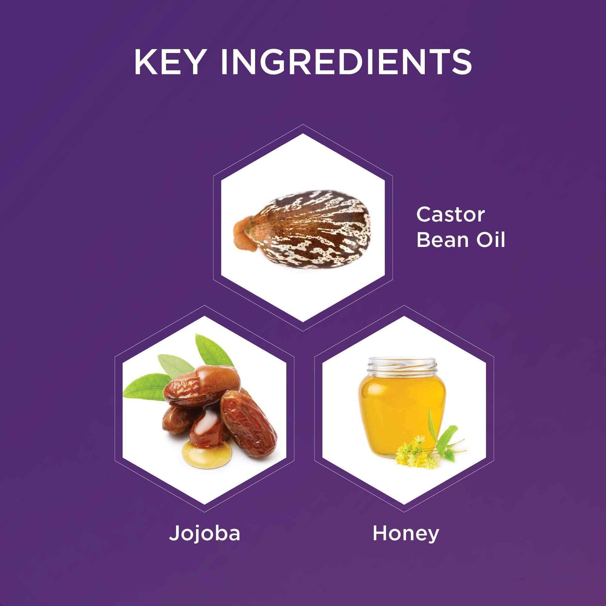 Hey Honey Watermelon + Berry Plumping Lip Balm (Bundle)