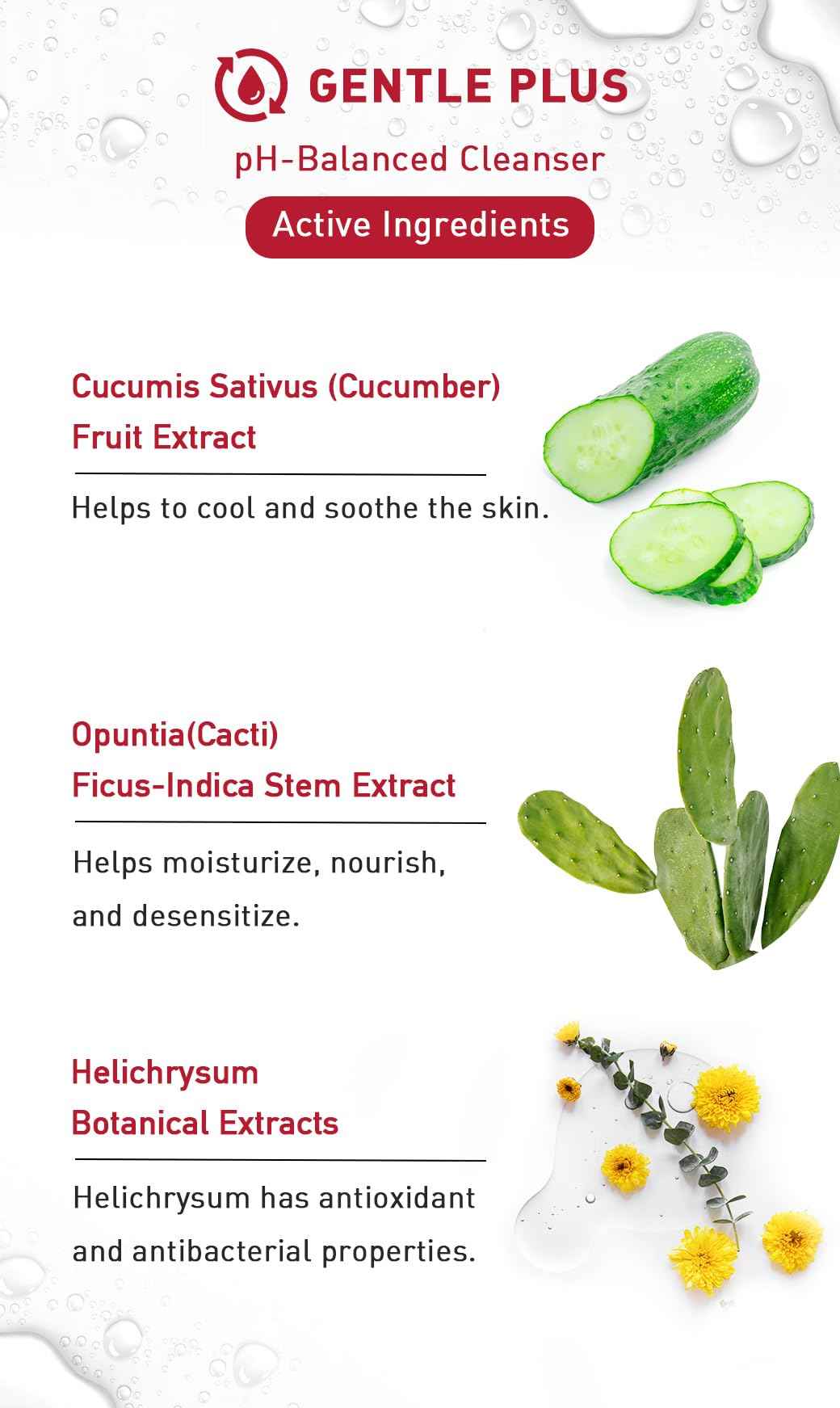 menorah Gentle Cleansing Mousse – Hydrating pH-Balanced Face Wash with Cactus & Cucumber Extracts, Soothing Daily Cleanser for Sensitive & Dry Skin