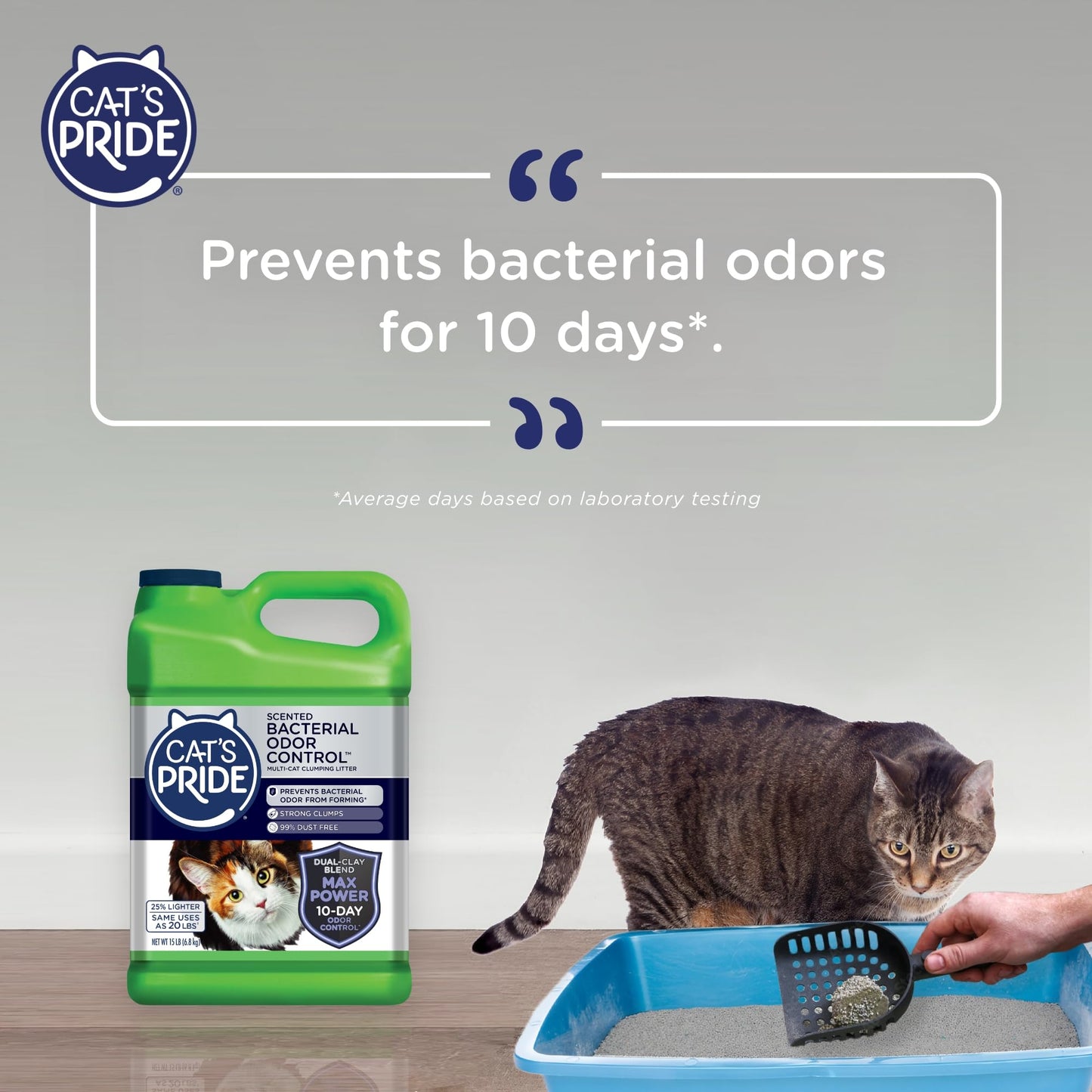 Cat's Pride Max Power: Bacterial Odor Control - Up to 10 Days of Powerful Odor Control - Strong Clumping - 99% Dust Free - Multi-Cat Litter, Scented, 15 Pounds (Pack of 2)