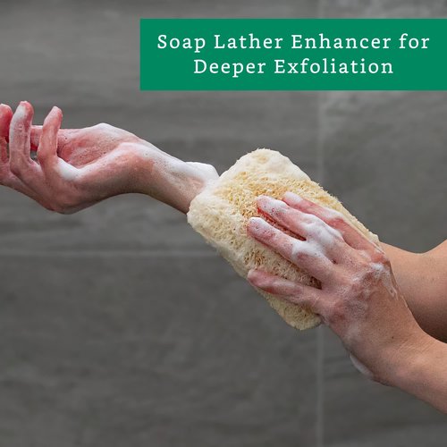 Natural Loofah Exfoliating Sponge (3 Pack) - Loofa Exfoliating Body Scrubber - Biodegradable Organic Loofah Sponge - Shower Luffa Sponges - Shower Lufa - Estropajos para el Cuerpo