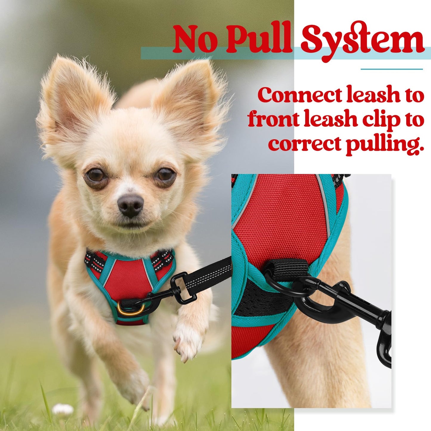 rabbitgoo Dog Harness, No-Pull Pet Harness with 2 Leash Clips, Adjustable Soft Padded Dog Vest, Reflective No-Choke Pet Oxford Vest with Easy Control Handle for Large Dogs, Red & Teal, X-Small