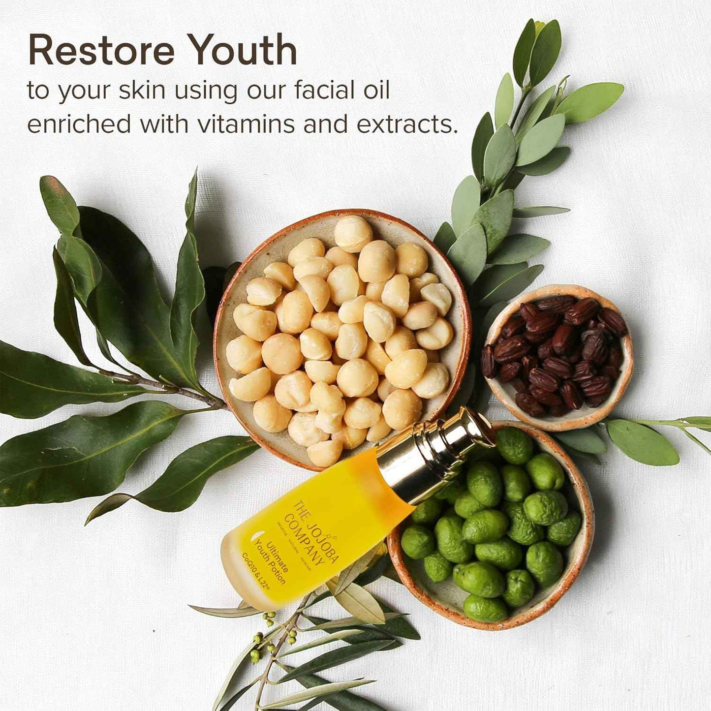 The Jojoba Company Ultimate Youth Potion, Maintains Youthful Glow, Improves Skin Elasticity & Firmness, Enriched w/Patented L22 Formula - Restores Skin Lipid Profile of a Healthy 22 Year Old, 50ml