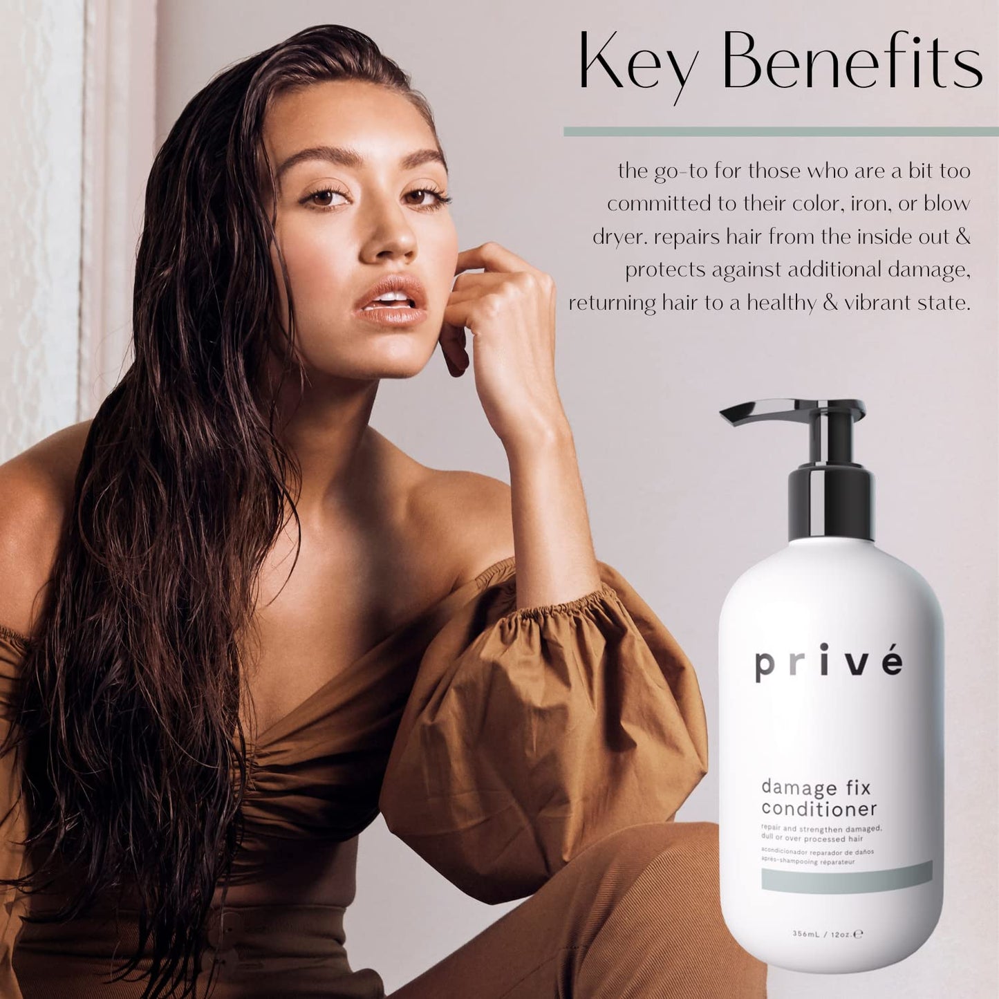 Prive Damage Fix Conditioner Repair and Strengthen Damaged, Dull or Over Processed Hair from Within – Natural Ingredients Vegan Cruelty-Free Color-Safe for Dry Hair