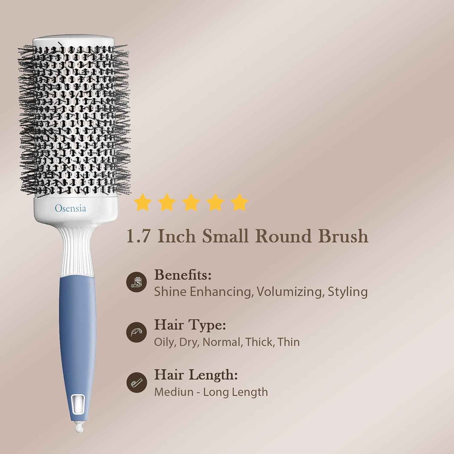 Hair Brush Set - Professional Round Brush and Detangling Paddle Brush for Blow Drying - Hair Detangler Paddle Hair Brush for Thick Hair - Nylon and Boar Bristle Brush (2 inch)