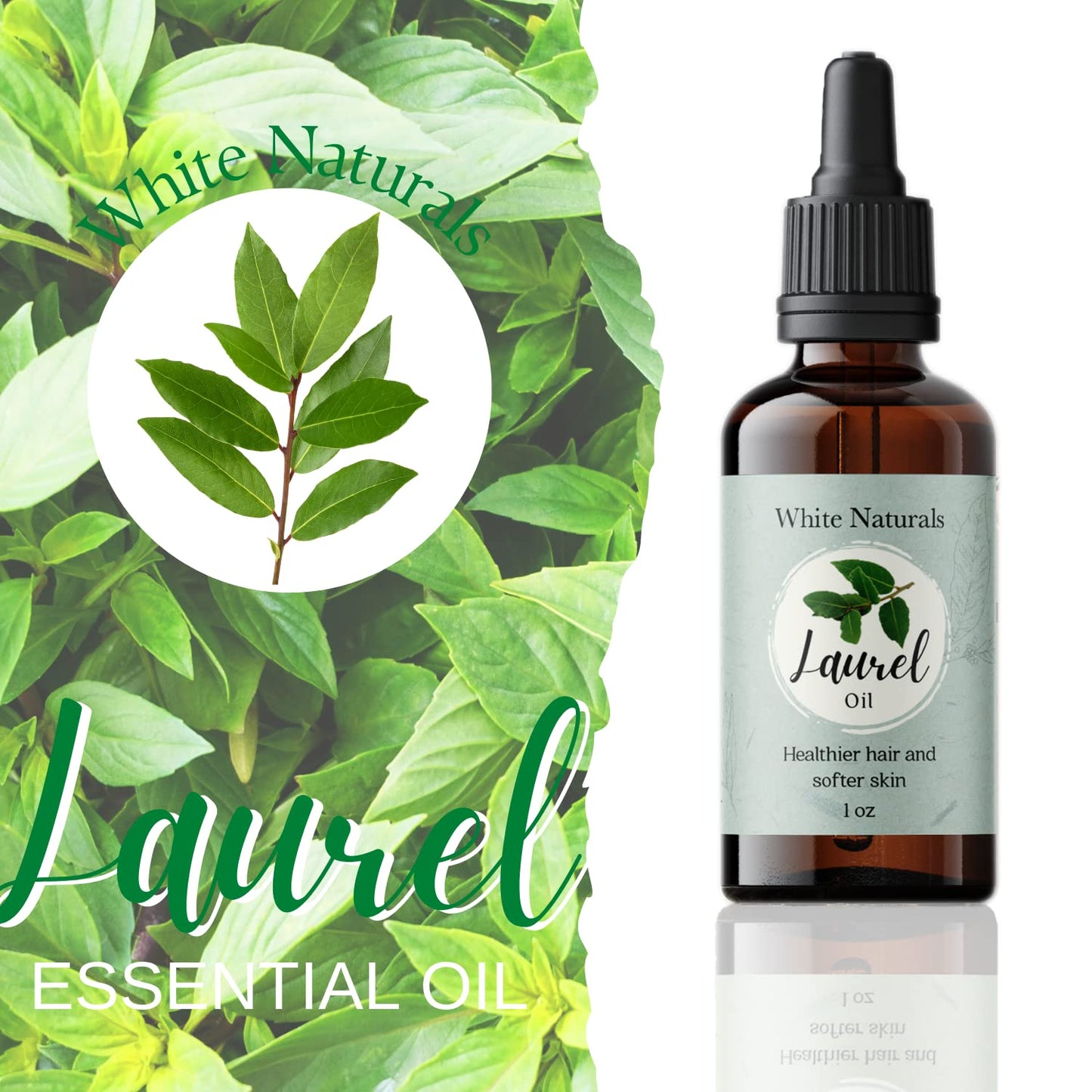 White Naturals Organic Laurel Leaf Essential Oil, 100% Pure Therapeutic Grade Undiluted Natural/Homeopathic Aromatherapy Scented Bay Essential Oil for Diffuser, Vegan Cruelty-Free 1 oz