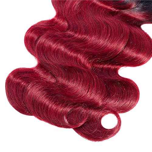 Burgundy Bundles Human Hair 1B99J Body Wave Bundles Unprocessed Brazilian Virgin Hair 3 Bundles 8 10 12 Inch Two Tone Black And Wine Red Bundles Human Hair Ombre Bundles