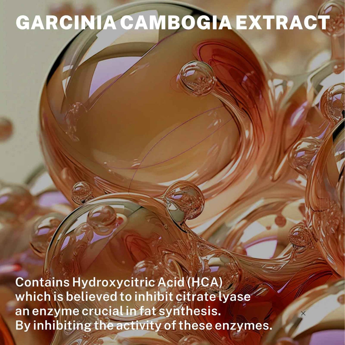 DrBioCare Advanced Hot Sweat Cream, Natural Sweat Enhancer Cream for Men and Women 1 Bottle