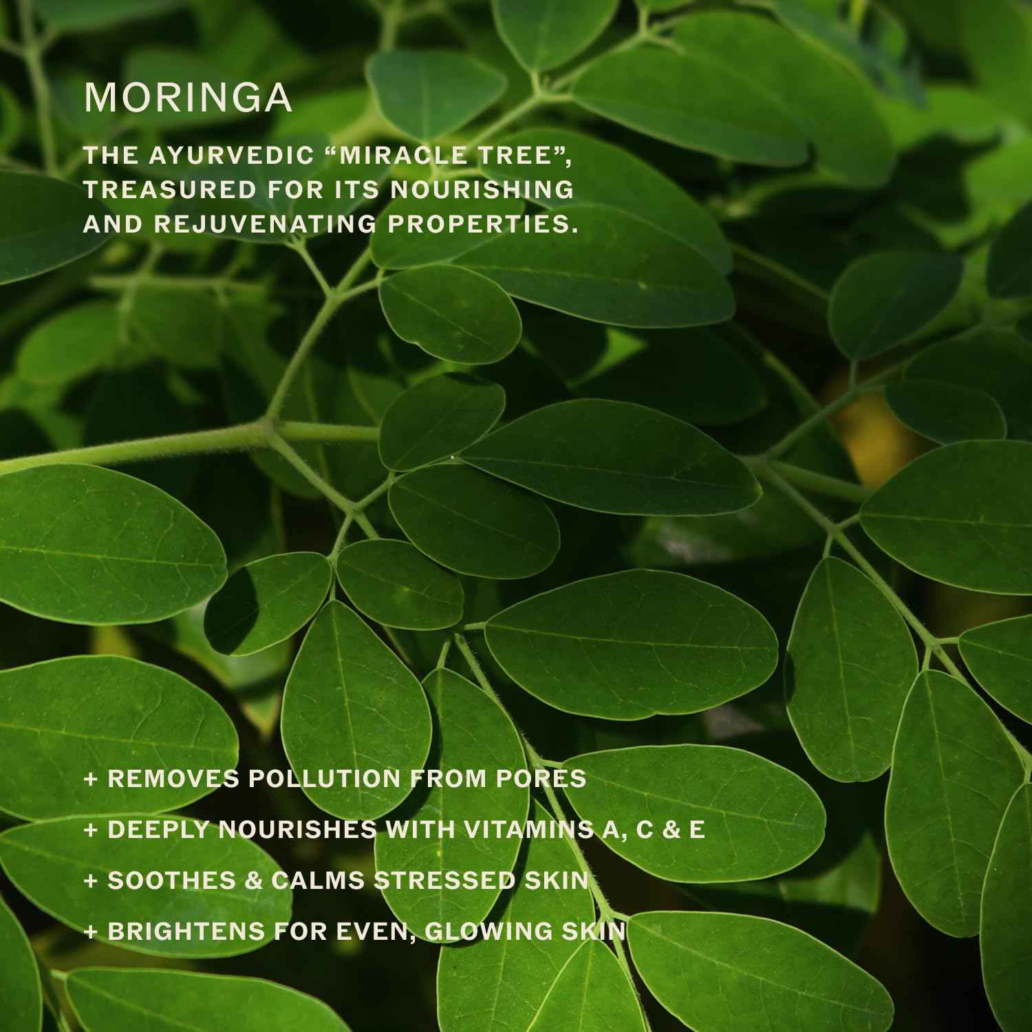 Sahajan Essential Balance Toner with Vitamin C + AHA's | Ayurvedic Clean Gentle Daily Glow Facial Toner | Exfoliates, Refines Texture, Balances, Hydrates | 4 fl oz