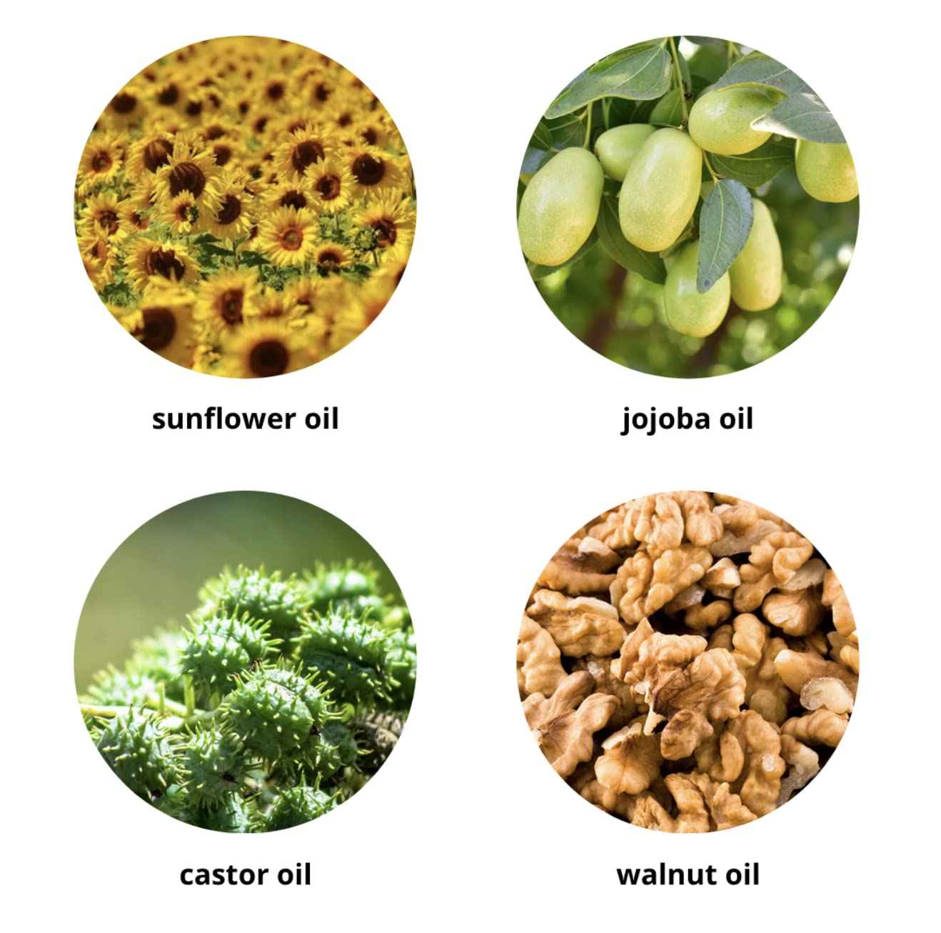 Elina Organics Makeup Removing & Cleansing Oil 2oz – Organic Cold-Pressed Formula with Sunflower, Jojoba, Castor & Walnut Oils – Gently Removes Waterproof Makeup