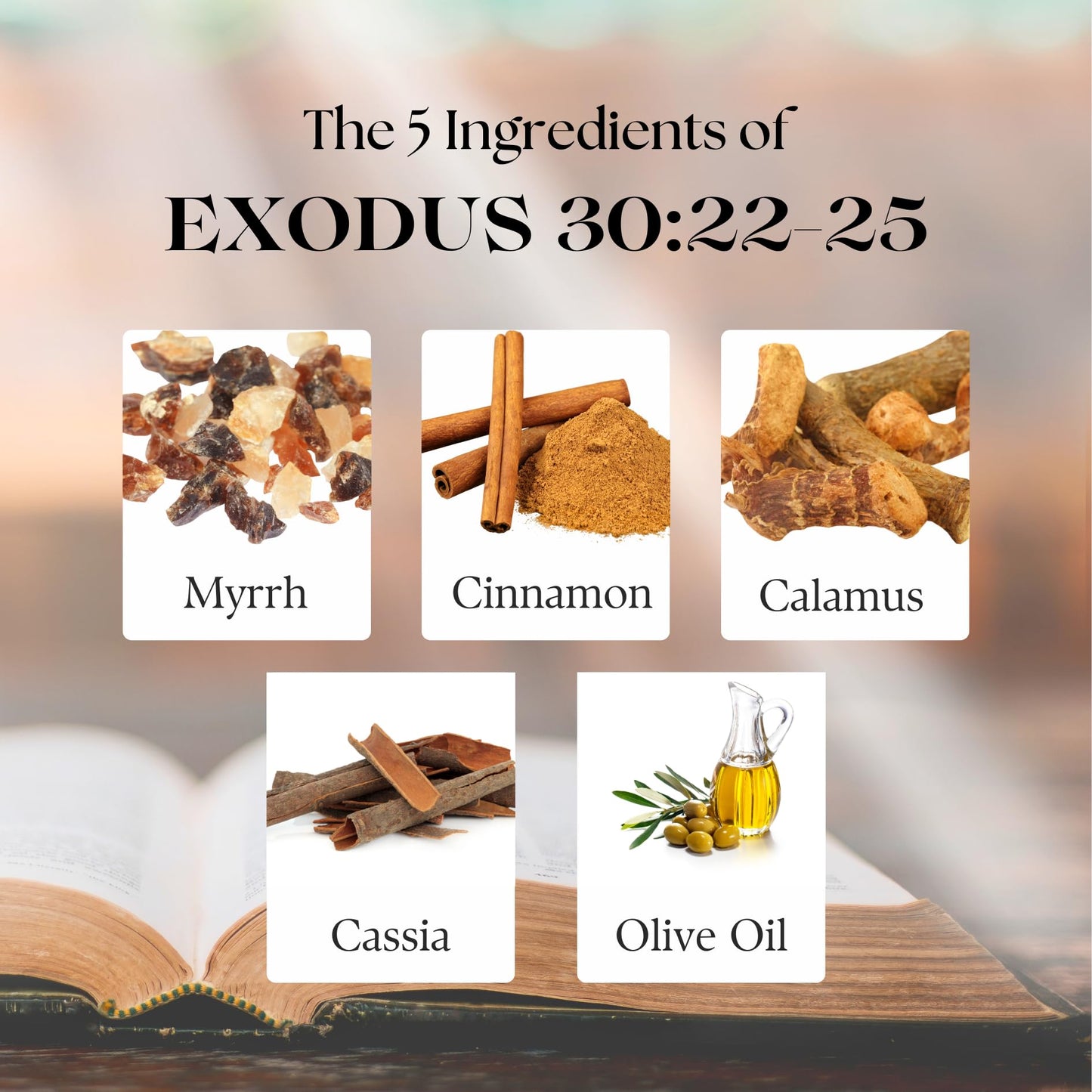 Exodus 30:22-25 Anointing Oil 1oz. Recipe God gave to Moses - 500 shekels of liquid myrrh, 250 shekels of fragrant cinnamon, 250 shekels of fragrant calamus, 500 shekels of cassia and a hin of olive oil. Comes in a top of the line spill proof, shatter pro