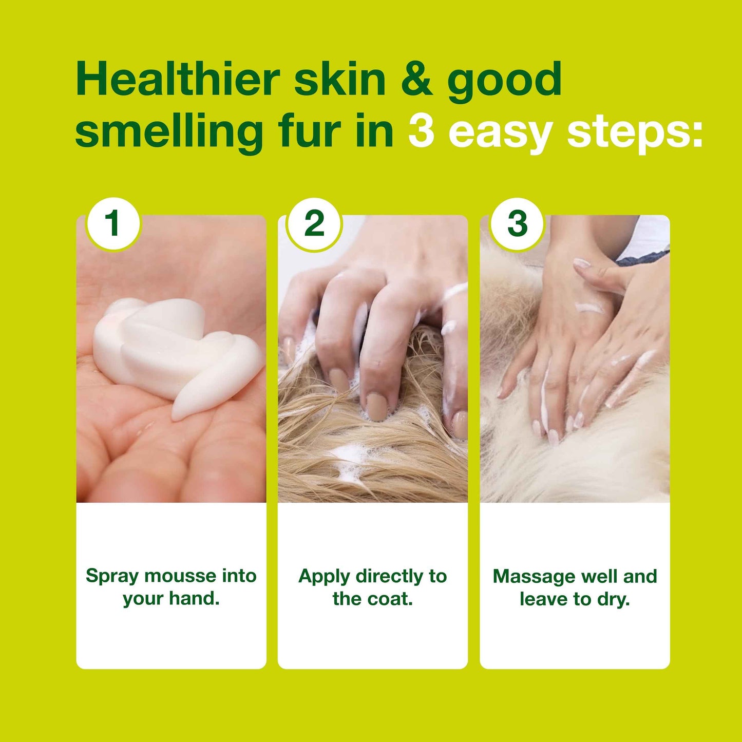 Douxo S3 Seb Mousse, Contains 0.5% Ophytrium, Odor Control & Seboregulating, For Oily to Flaky Skin, Seborrhea, For Dogs and Cats, 5.1 fl. oz. (150mL)