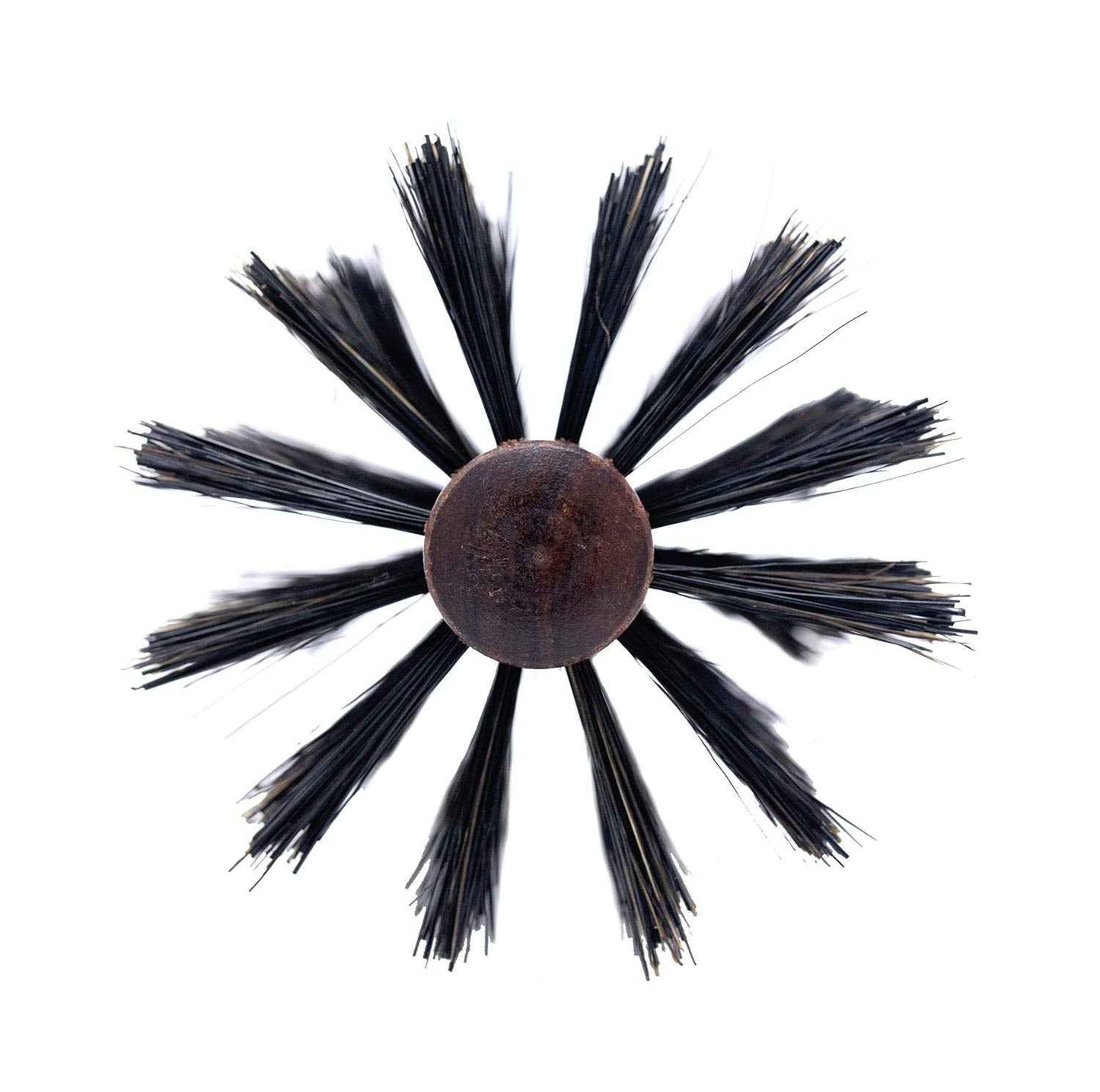 Spornette Italian Rounder Boar Bristle Round Hair Brush for Women & Men - Large Round Brush for Blow Drying, Styling & Volumizing - Wooden Brush for Medium to Long Thick, Fine, Curly or Straight Hair