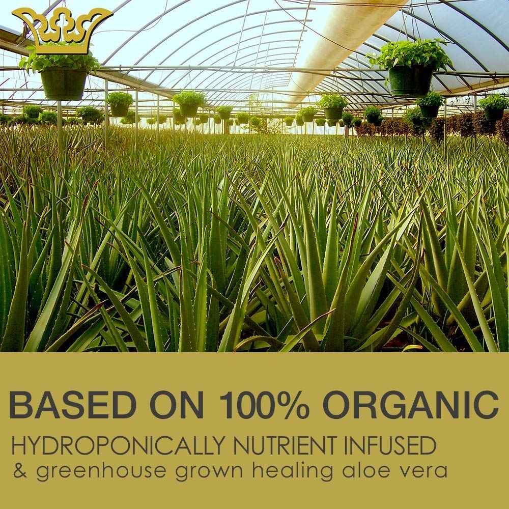 LEROSETT Oil-Free Moisturizer for Oily & Sensitive Skin, Lightweight Matte Hydration, Vegan Moisturizer, Aloe-Based with Vit-B5 + 7 Soothing Herbals, Non-comedogenic, Fragrance Free - 3 oz