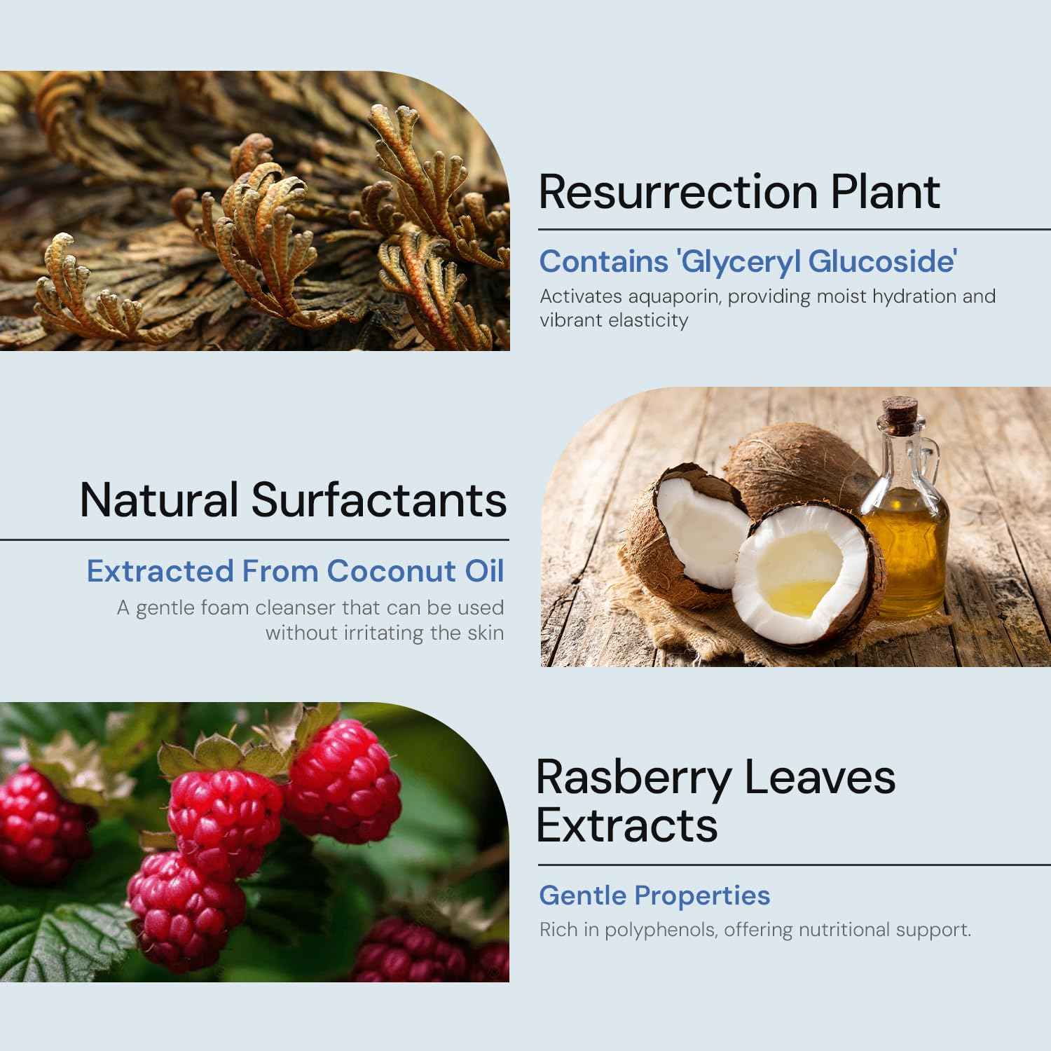 A MAR DA 24/7 Revival Foam Cleanser 120ml – Low-pH Face Wash for Sensitive Skin with Resurrection Plant, Hyaluronic Complex & Coconut-Derived Surfactants