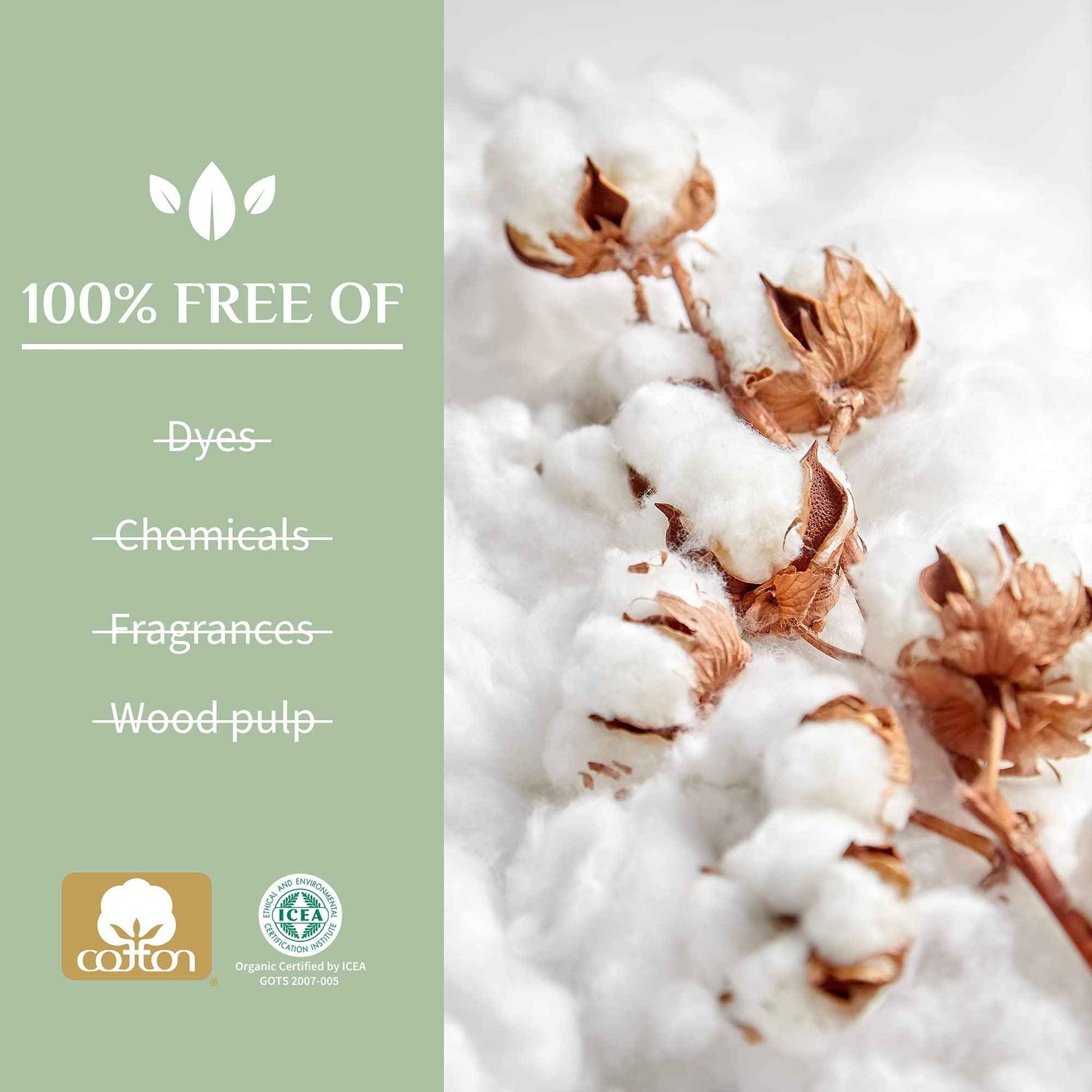 Organyc - 100% Certified Organic Cotton Swabs - No Man-Made Materials 200 count (6 Pack)