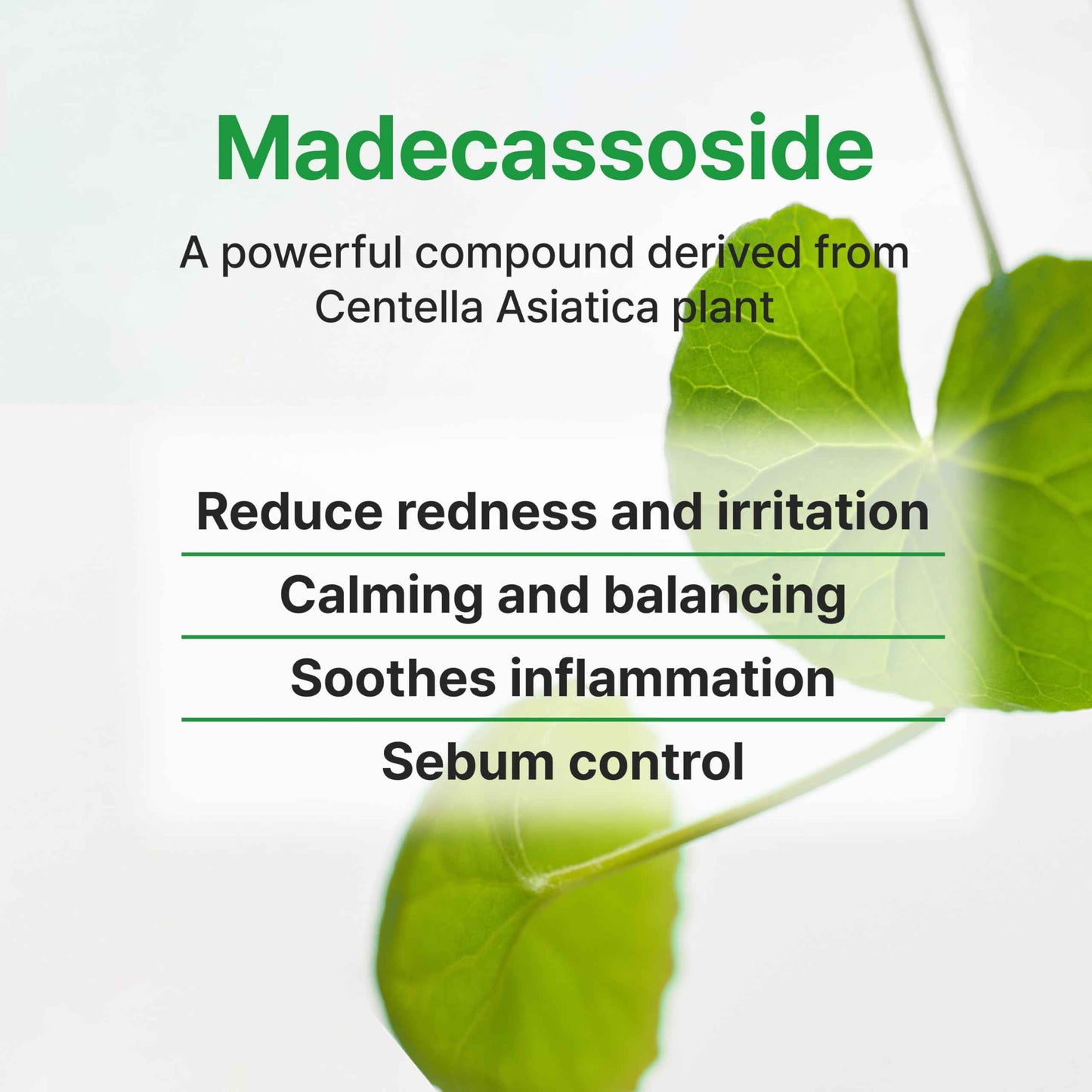 Face Republic Calming Tea Tree Madecassoside Serum 45ml 1.52 fl oz | Lightweight | Soothing | Madecassoside, Tea Tree, Centella Asiatica, Niacinamide | For irritated skin | Vegan Korean Skin Care