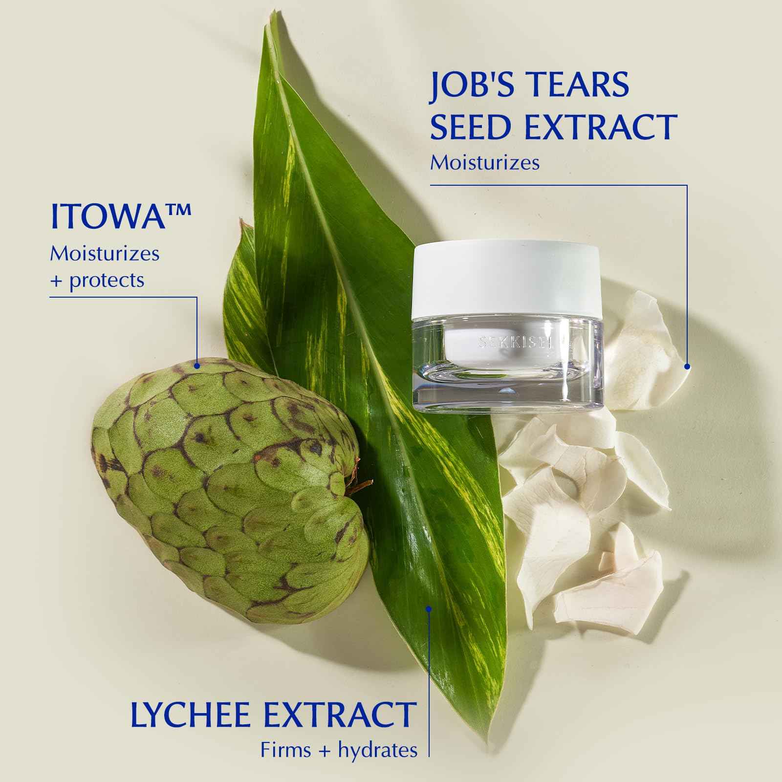 SEKKISEI CLEAR WELLNESS Water Shield Cream, Facial Moisturizer for Sensitive Skin, 1.4 Ounce