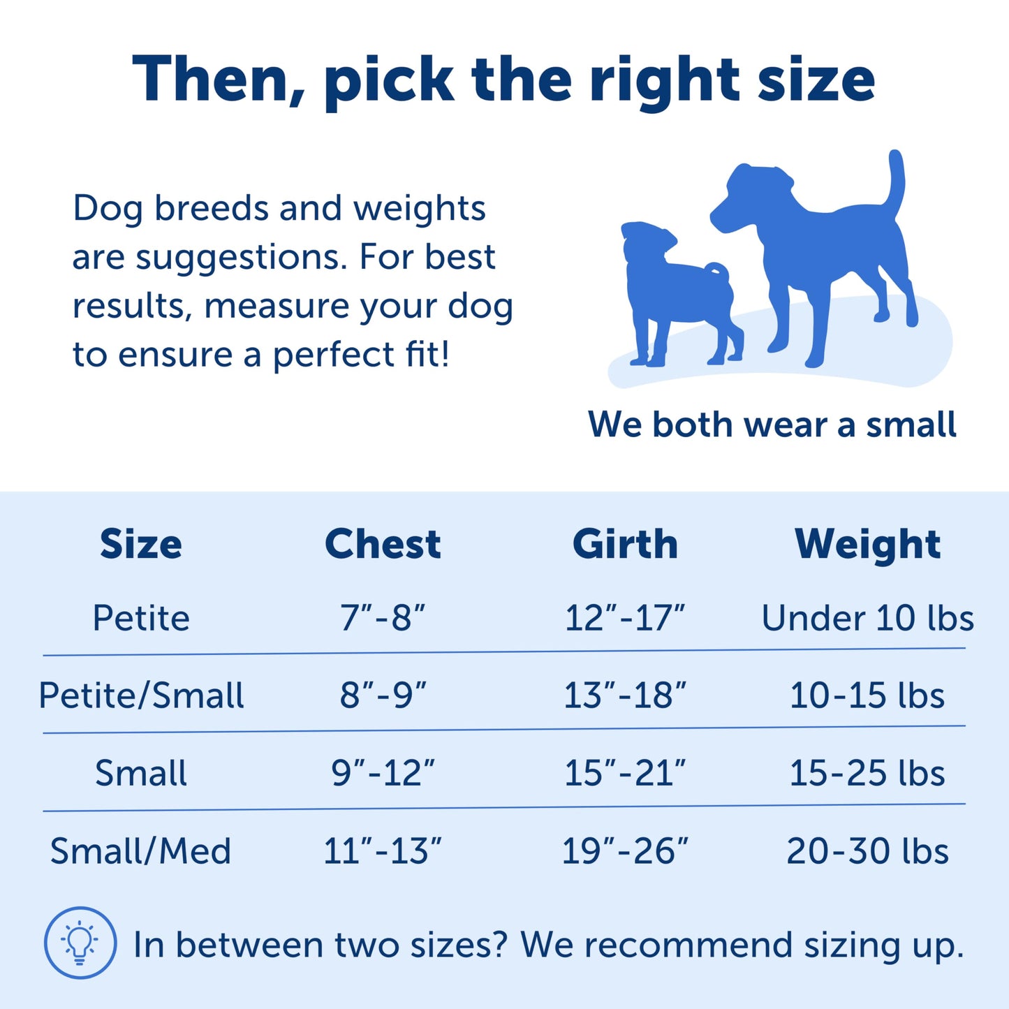 PetSafe Easy Walk No-Pull Dog Harness - The Ultimate Harness to Help Stop Pulling - Take Control & Teach Better Leash Manners - Helps Prevent Pets Pulling on Walks, Small, Royal Blue/Navy Blue