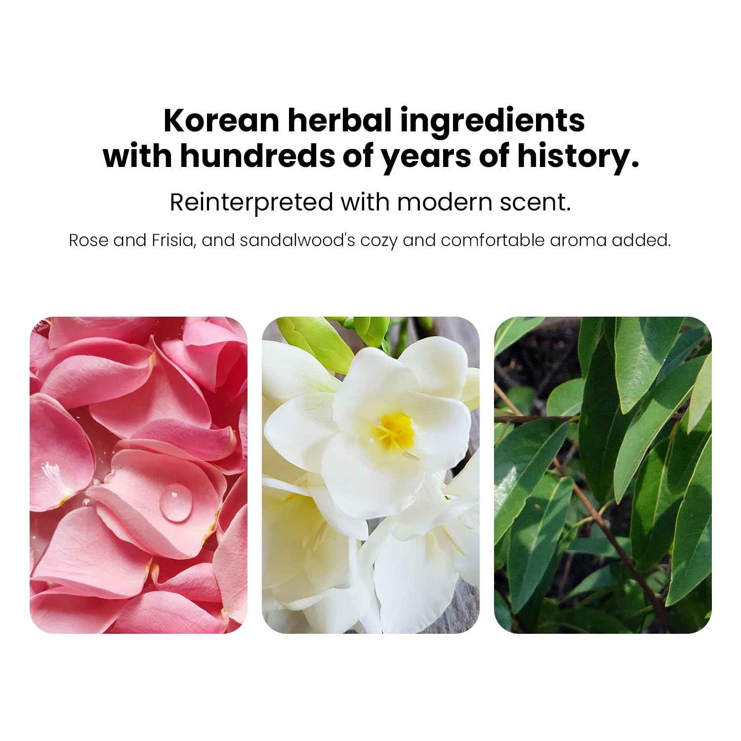 Danahan Bon Yeon Jin Skin Toner 5.4 fl oz(160ml) | Anti-Wrinkle, Moisturizing, Hydrating, Soothing, Korean Skin Care