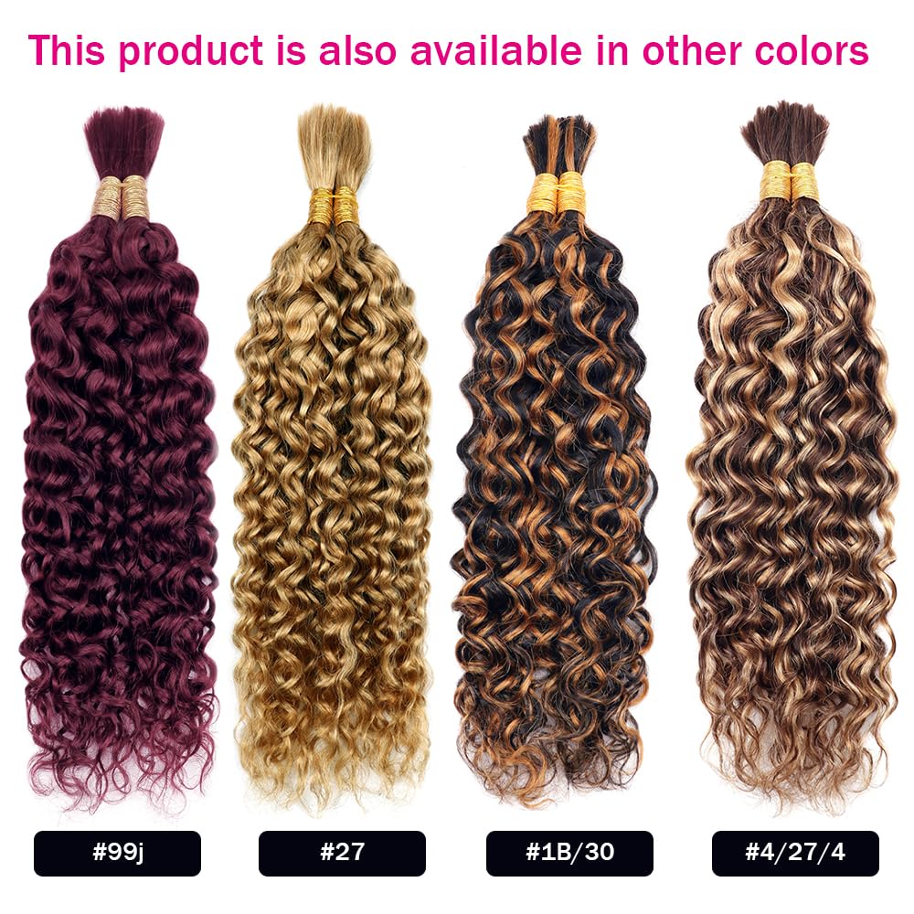 Cecycocy water Wave Bulk Human Hair Two Bundles Micro Braiding Human Hair 100g No Weft For Braiding #P1B/30 100% Unprocessed Brazilian Virgin Human Hair Extensions (16inch, P1B/30 water)