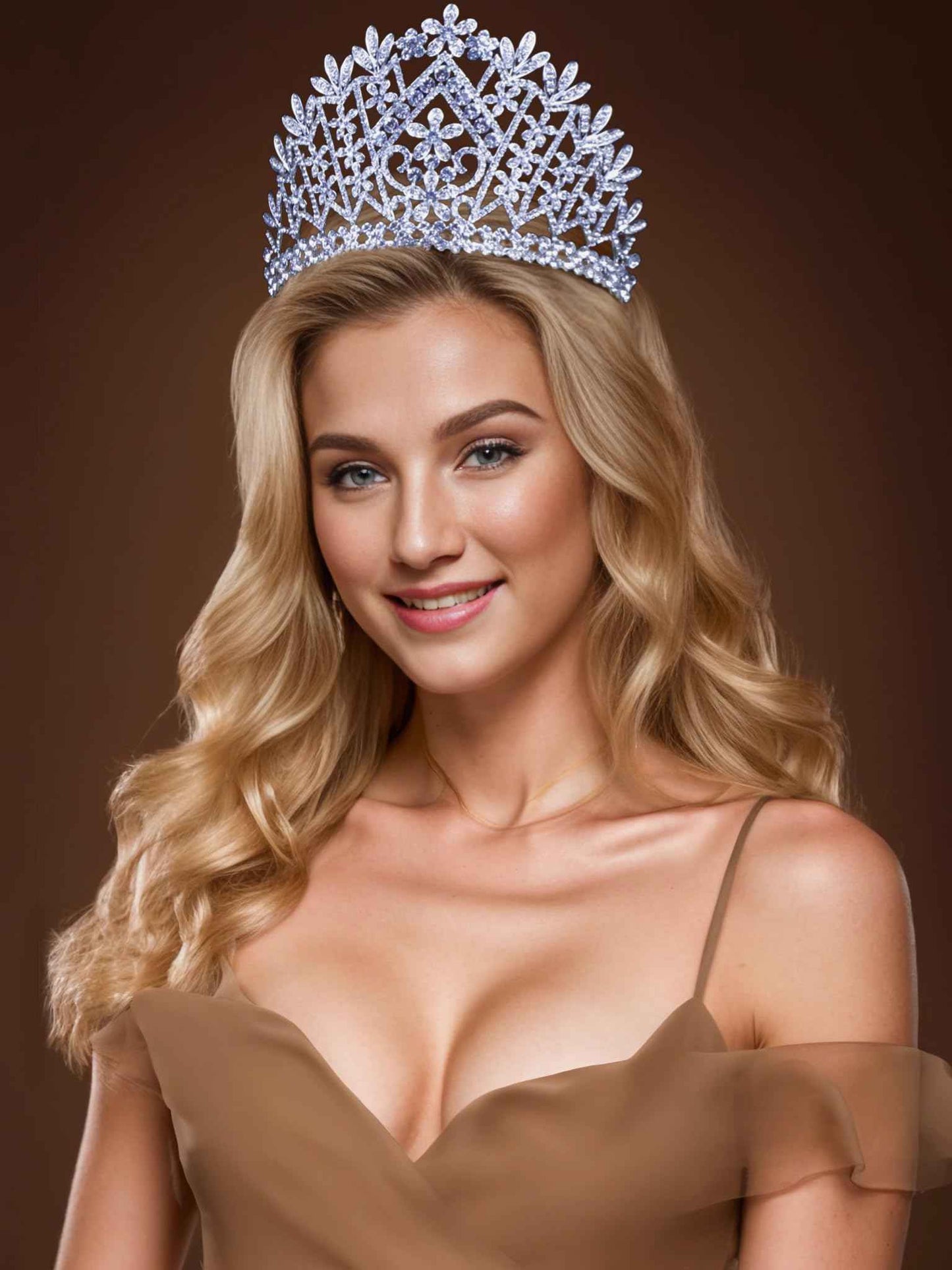 Janefashions Daisy Clear Austrian Crystal Rhinestone Tiara Crown With Hair Combs Wedding Bridal Prom Birthday Party Beauty Contest Pageant T1861 (Silver Plated With Combs)