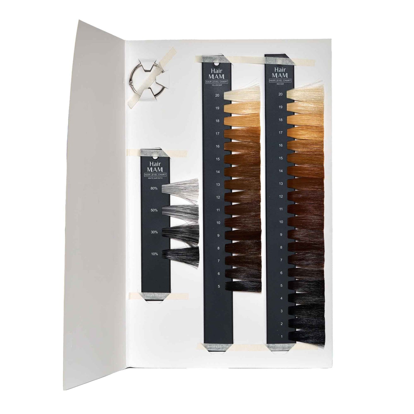 Hair Level Scale Chart Set Checking Brightness For Hair Salon and Hairdresser