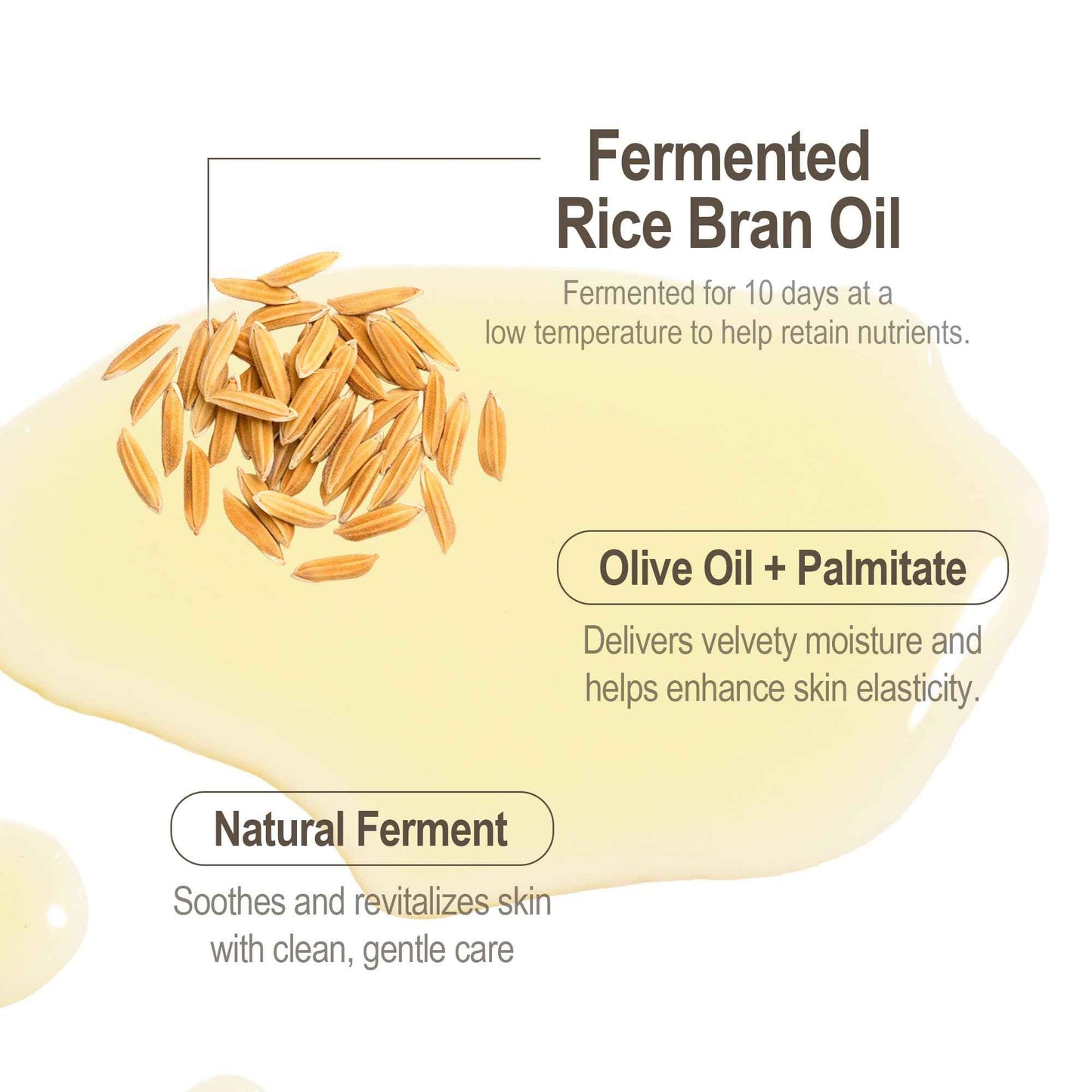 HAYEJIN Rice Bran Oil for Body | Moisturizing For Men & Women | Hydrating Body Oil w/Fermented Rice Bran Oil for Skin | Refreshing Body Oil for Dry Skin 6.76 Fl Oz