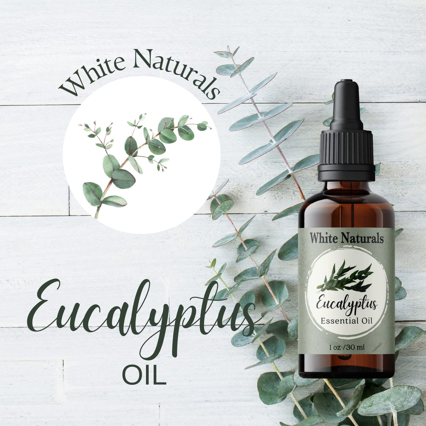 Organic Eucalyptus Essential Oil - 100% Pure & Natural -Premium Therapeutic Grade - Undiluted Homeopathic Aromatherapy Scented, Great for DIY Soap Making, Massage