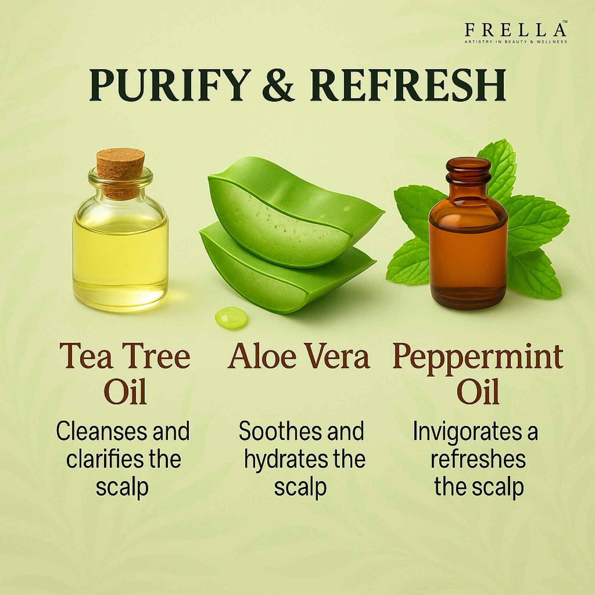 Frella Mint Shampoo and Conditioner Set, with Tea Tree and Peppermint Oils