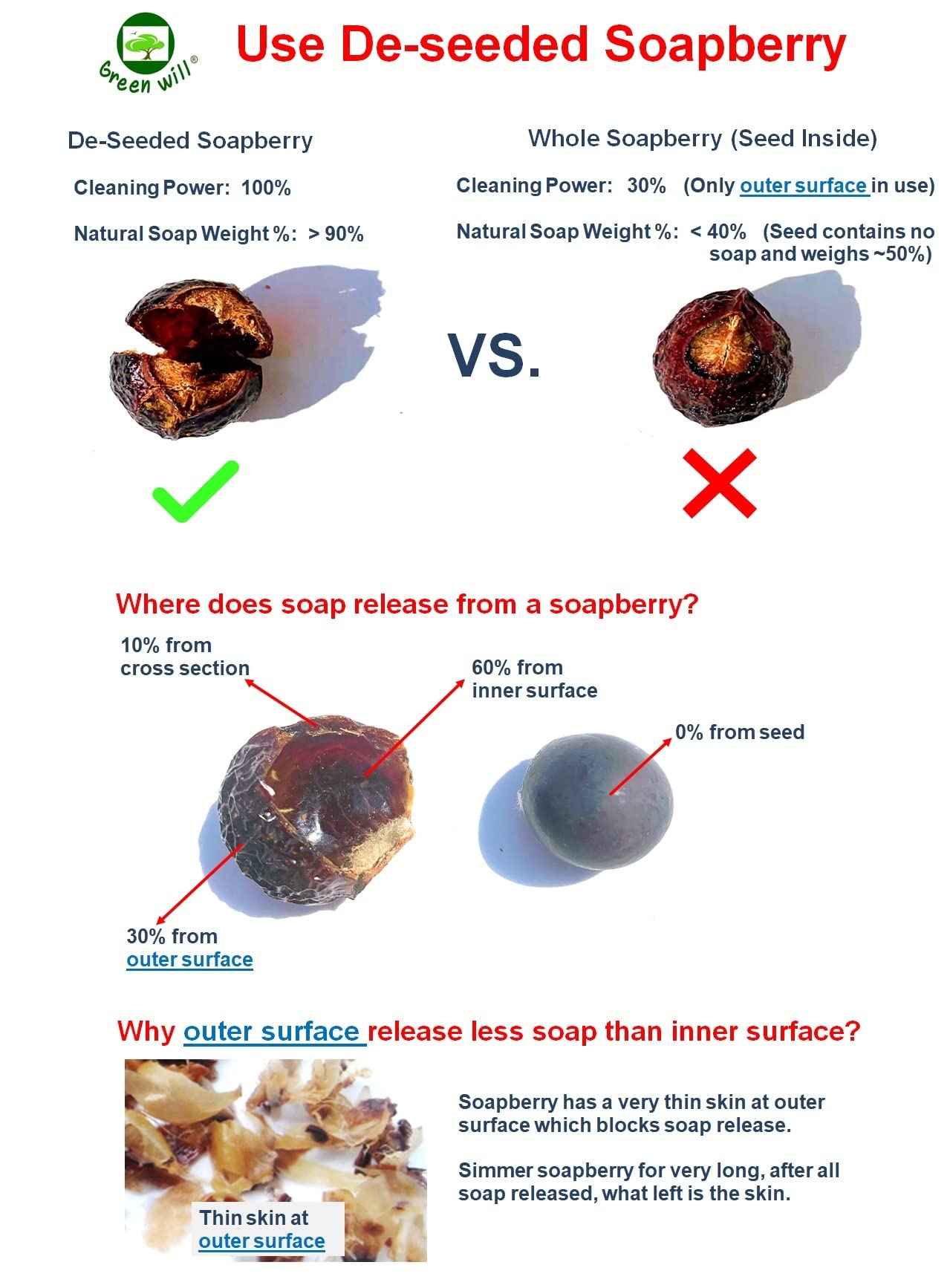 GREENWILL 0.75 Pound (12 Ounces) Organic De-seeded Soapberry/Soap Nut with 1 Wash Bag