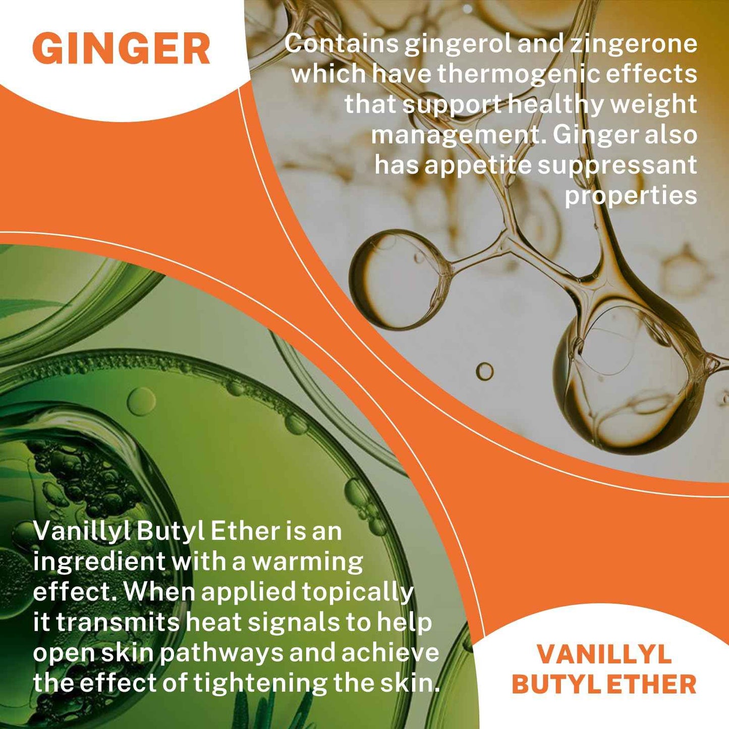 DrBioCare Advanced Hot Sweat Cream, Natural Sweat Enhancer Cream for Men and Women 1 Bottle