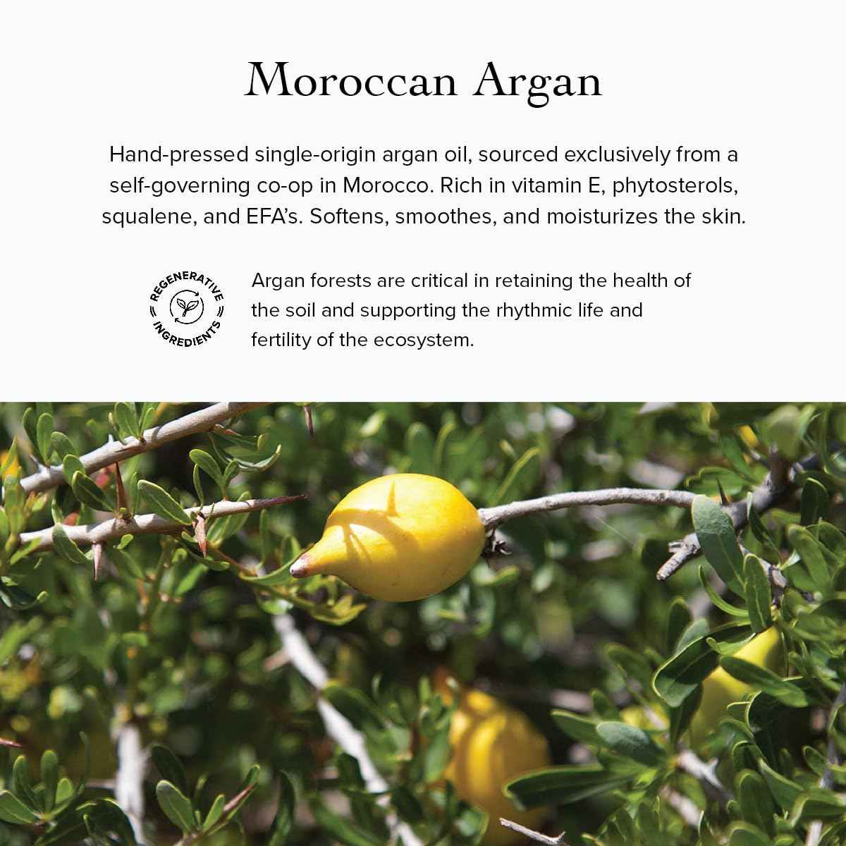 evanhealy Argan Intensive Serum | Handcrafted Argan Oil with Organic Essential Oils | Nurturing & Rejuvenating Treatment for All Skin Types