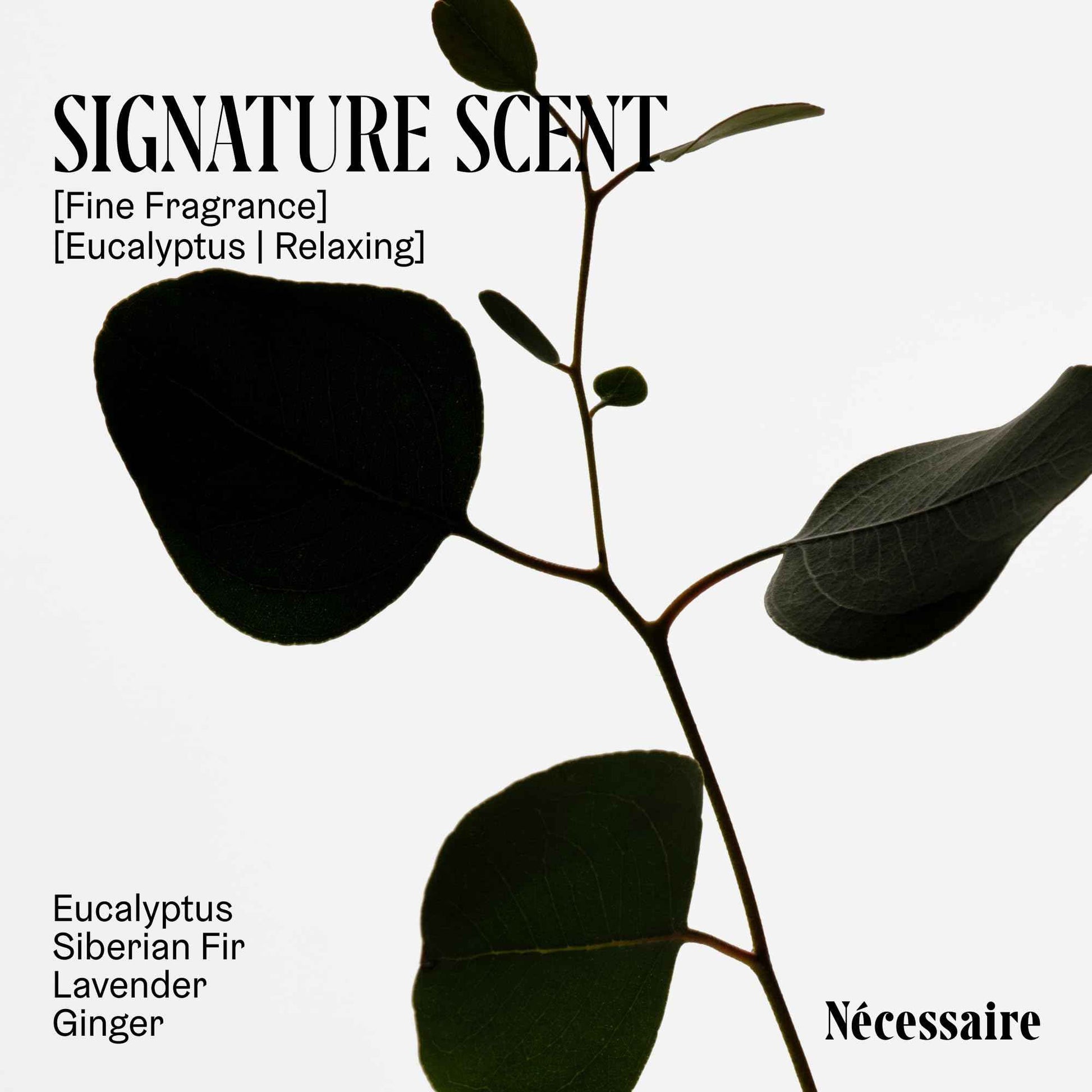 Nécessaire Body Essentials - Skin Care Gift Set For Women + Men - Travel-Size Body Wash, Body Lotion + Deodorant | Dermatologist-Tested. Hypoallergenic | Vegan | Aluminum-Free Deodorant (Eucalyptus)