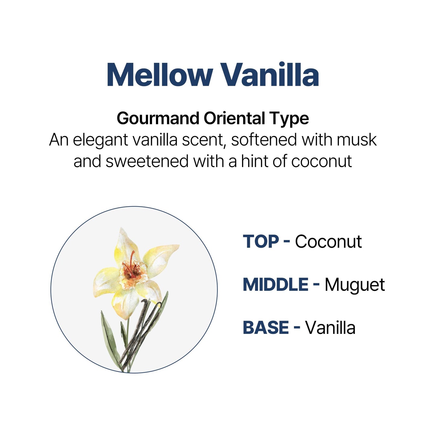 KUNDAL Soymilk Body Wash & Body Cream Set, Moisturizing Body Care with Ceramides, Hydrating Skincare Duo for Dry Skin, Mellow Vanilla Scent (16.9 fl oz + 6.76 fl oz), Stocking Stuffers