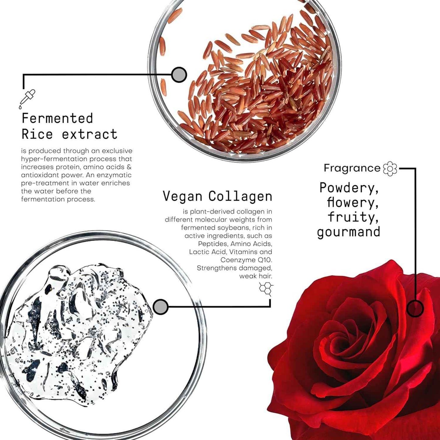 FRAMESI Morphosis Restructure Shampoo 33.8 fl oz