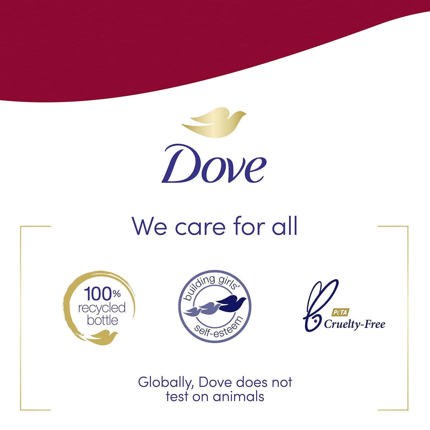 Dove Body Wash for Softer, Smoother Skin After Just One Use Pomegranate and Hibiscus Tea Sulfate-free Bodywash, 20 Fl Oz (Pack of 2)