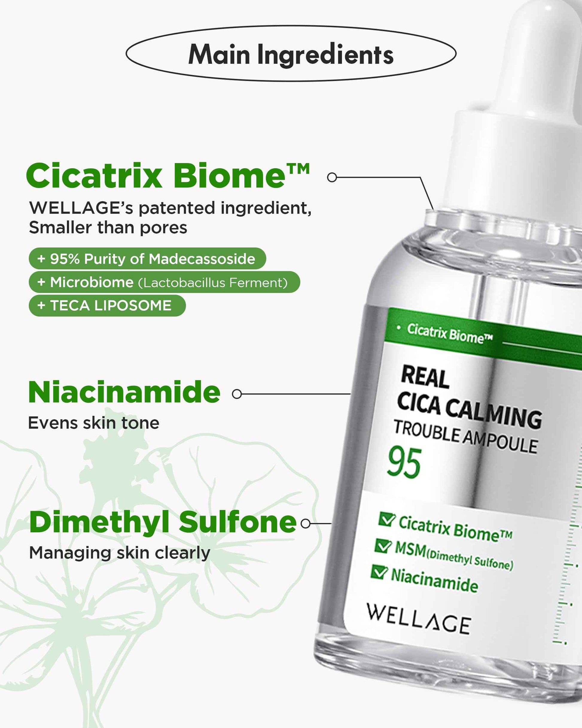 WELLAGE Real Cica Calming Trouble Ampoule - Korean Skincare Soothing Serum, Madecassoside Centella Asiatica Panthenol Niacinamide, Relief Redness, Sebum Control, Improves Blemishes, 1.69 fl.oz.