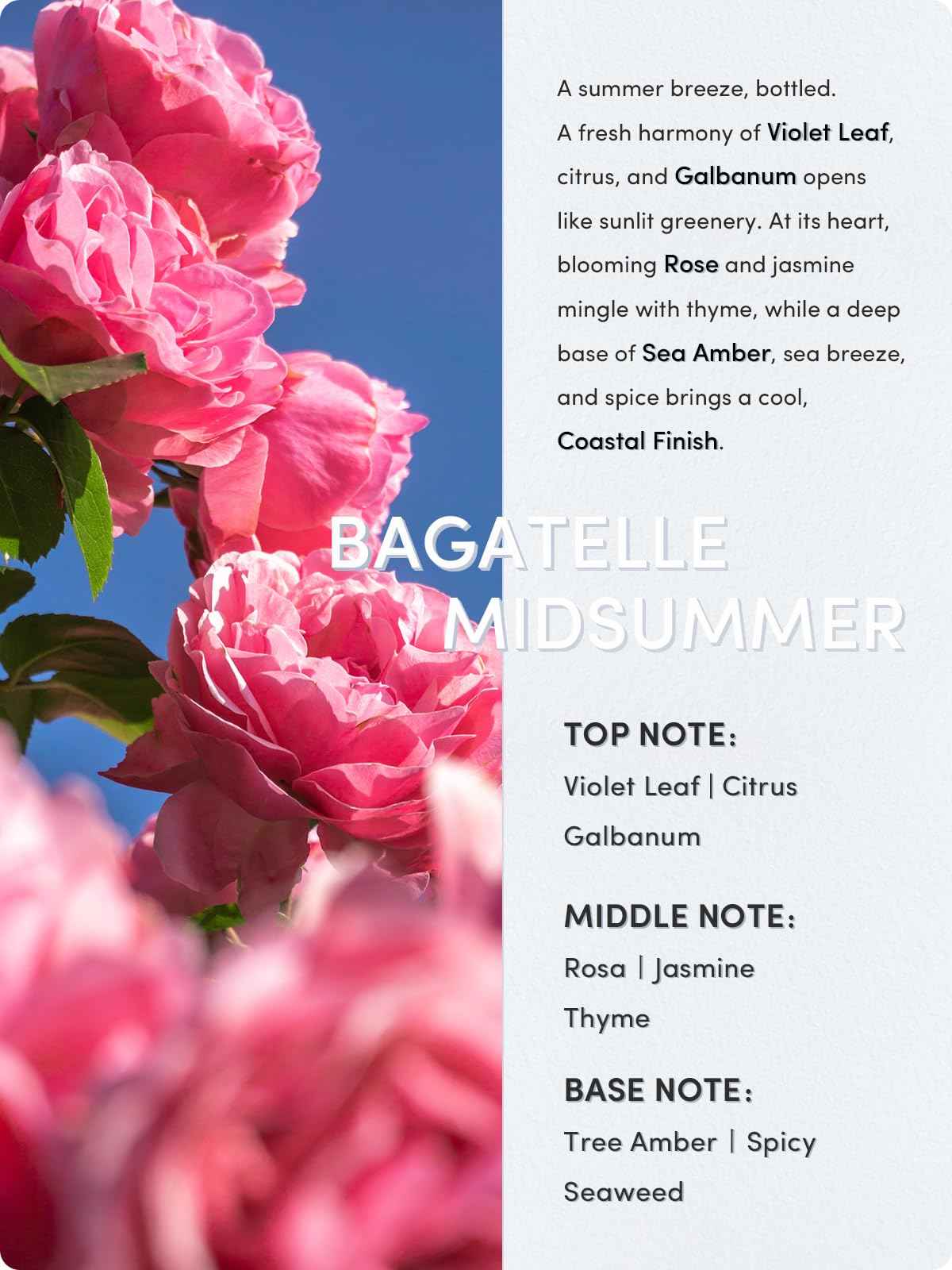 Kustie Rose Petal Body Wash – 342 Real Bulgarian Petals & Essential Oils | Squalane, Hyaluronic & Niacinamide Cleanser | Vegan, Sulfate-Free, Long-Lasting Scent | 12.8 Fl Oz