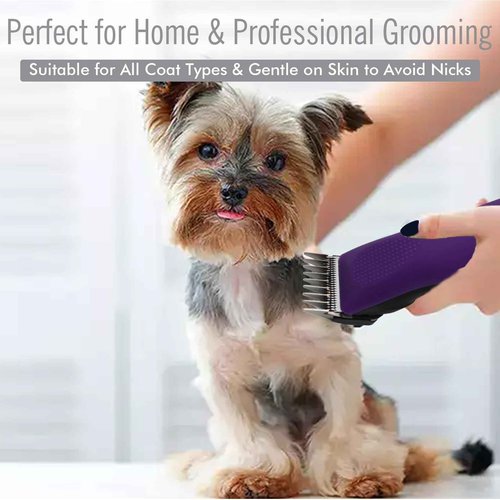 4 Pieces Professional A5 Style Animal Clipper Stainless Steel Color-Coded Attachment Guard Guide Combs Set, 1/8", 1/4", 3/8", 1/2" Compatible with Wahl KM Series Oster A5 Andis AG BG Pet Groomers