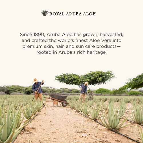 Aruba Aloe Pure Aloe Vera Gel – Soothes, Hydrates, and Refreshes Skin – 8.5 Oz Bottle