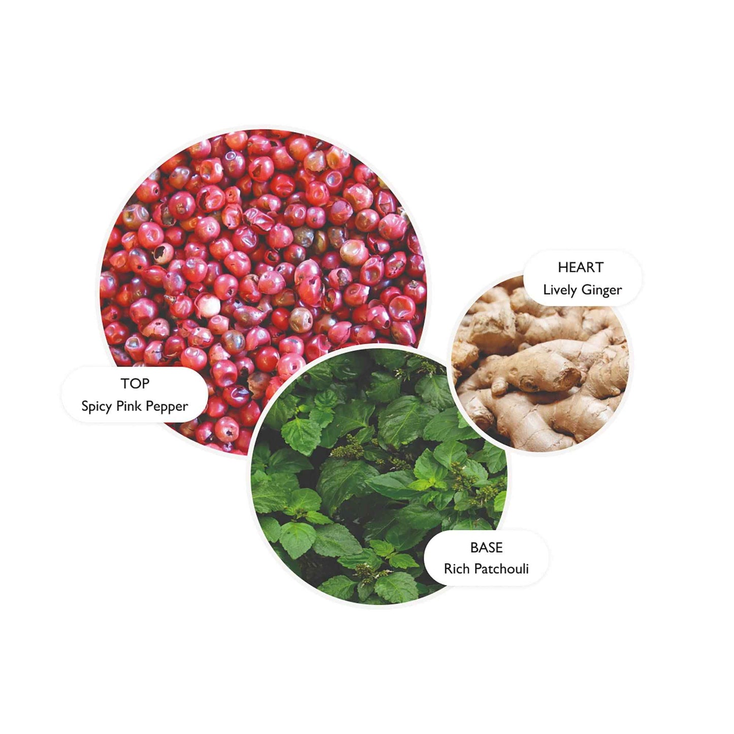 Molton Brown Fiery Pink Pepper Hand Lotion 10 fl. oz.