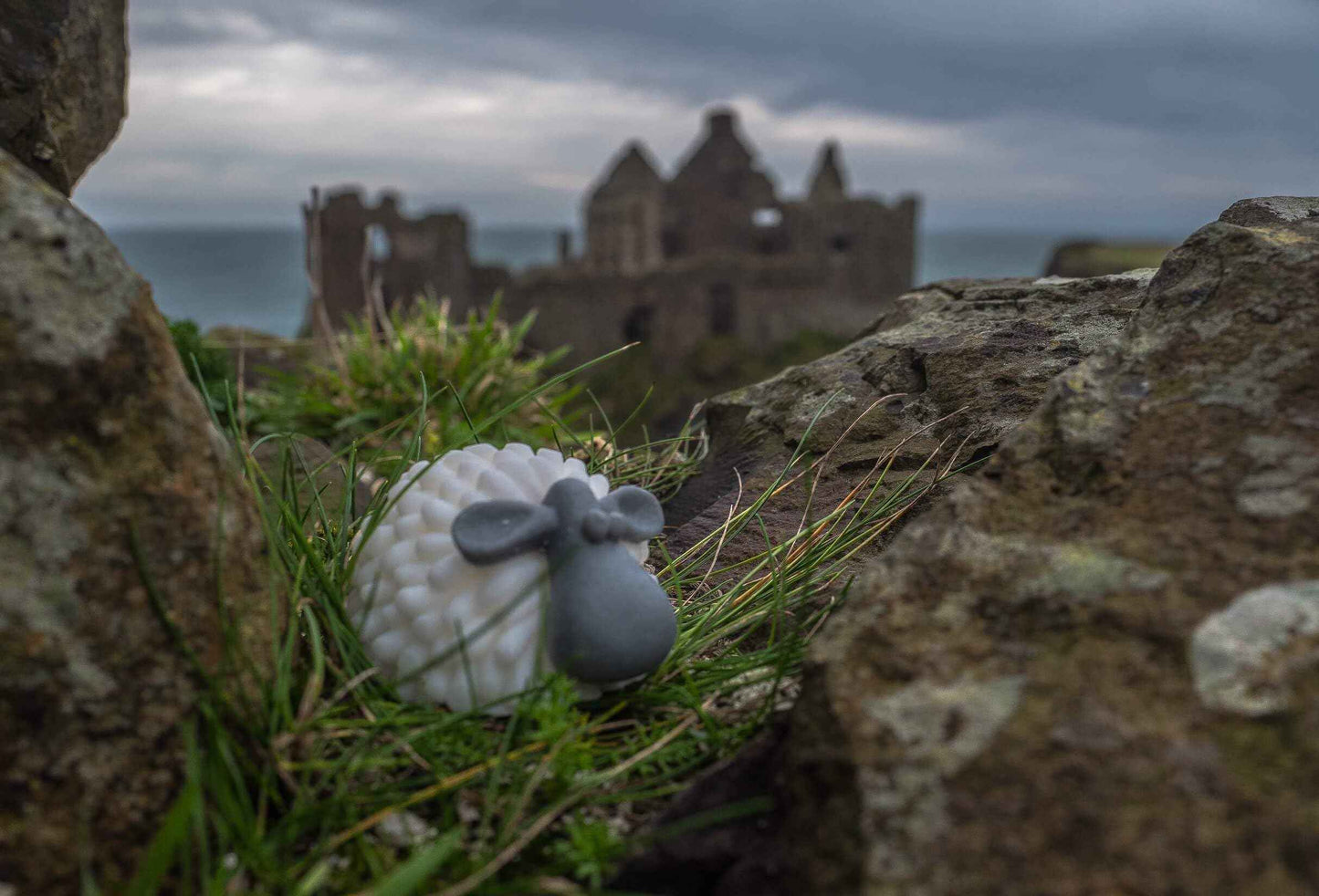 Pure Oskar Curragh Sheep Handmade Irish Soap Natural Moisturizing Ingredients Cute Quirky Fun Irish Gift, Made in Ireland, Gift-boxed