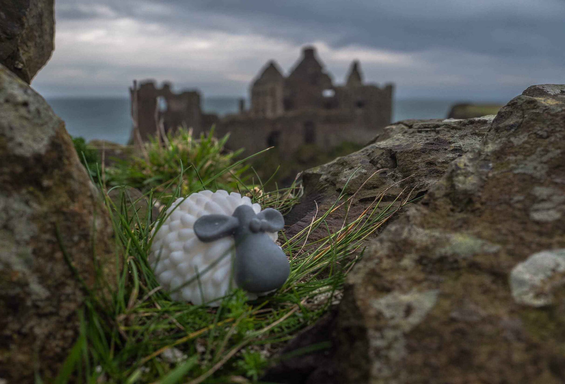 Pure Oskar Curragh Sheep Handmade Irish Soap Natural Moisturizing Ingredients Cute Quirky Fun Irish Gift, Made in Ireland, Gift-boxed