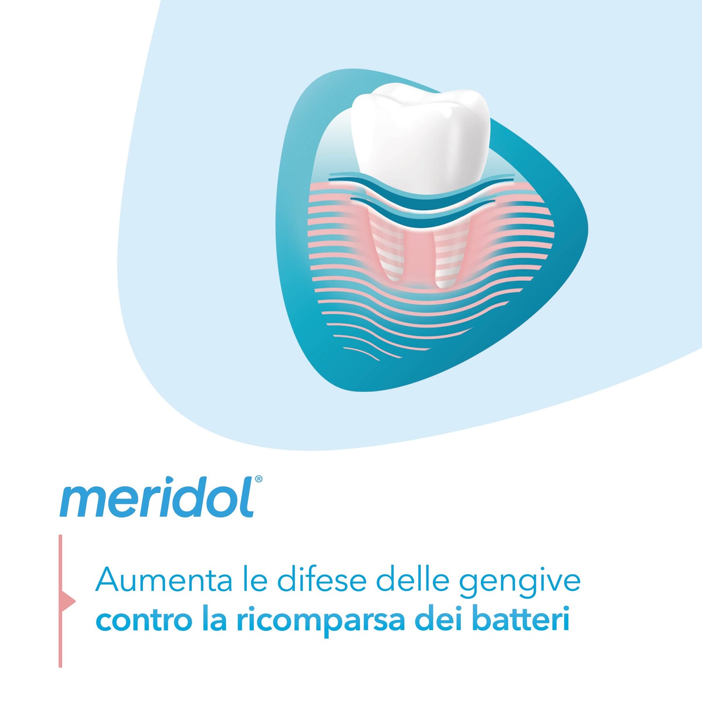 MERIDOL GENCIVES IRRITEES Dentifrice Pack Double (2 x 75 ml)