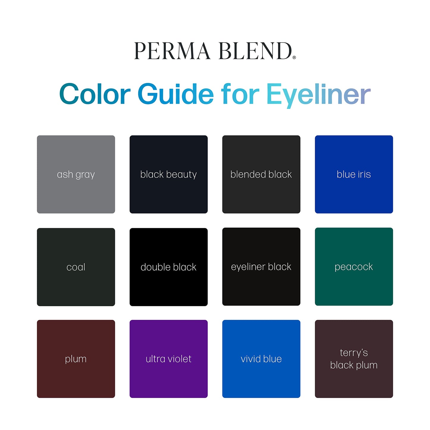 Perma Blend - Microblading Ink for Permanent Eyeliner - Professional Tattoo Ink - Bold Black Tattoo Makeup & Eyeliner, Vegan (0.5 oz)