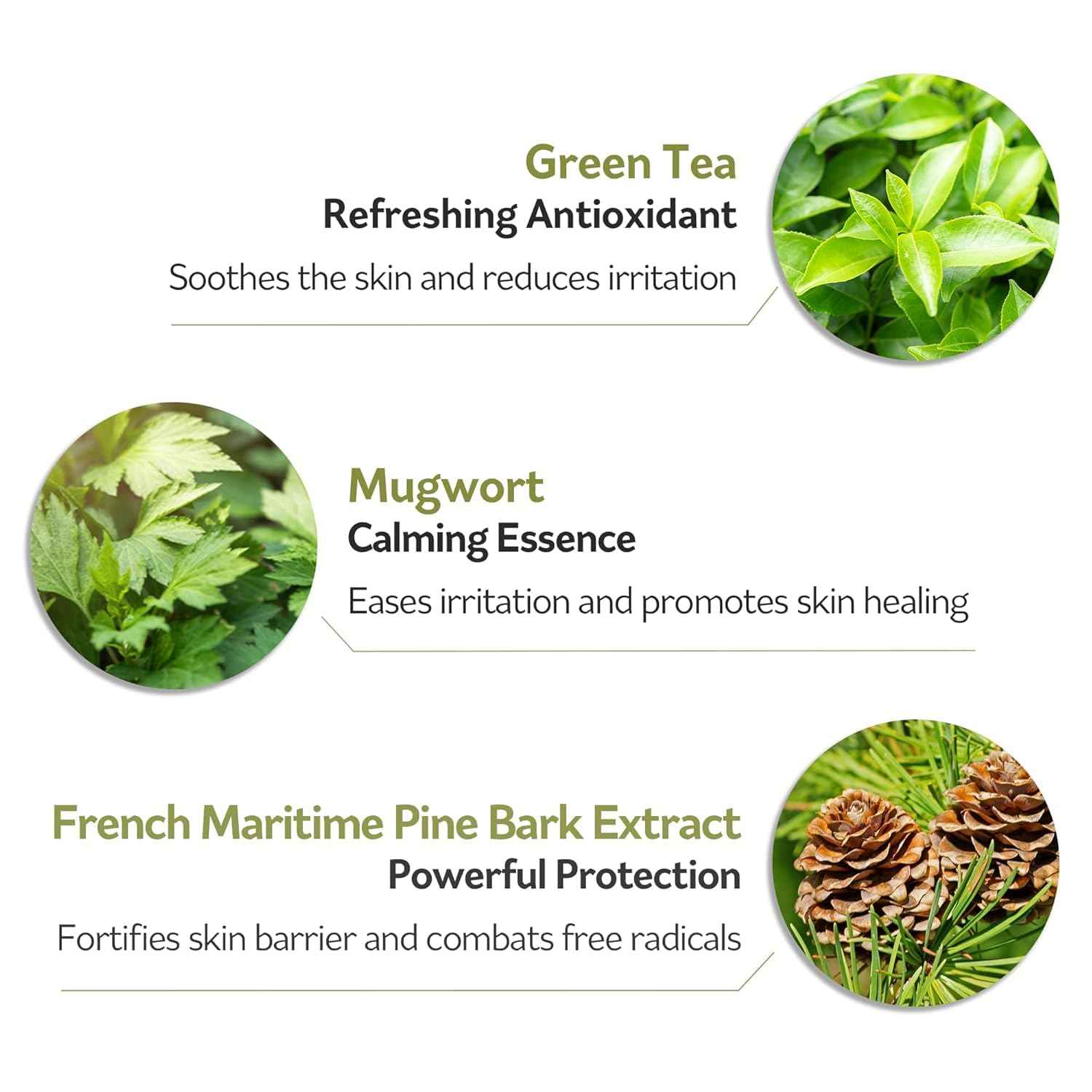 PESTLO Spicule Reborn Exfoliating Peeling Mask for Korean Glass Skin – Natural Marine Spicules, Green Tea & Wormwood for Gentle Exfoliation, Pore Care, Hydration & Radiant Skin, 4.23 oz (120ml)