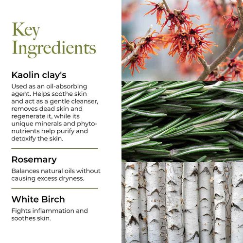 Borghese Equilibrio Equalizing Restorative - Lightweight Oil Free Moisturizer for Uneven Skin Tone & Texture, For Combination, Normal & Oily Skin