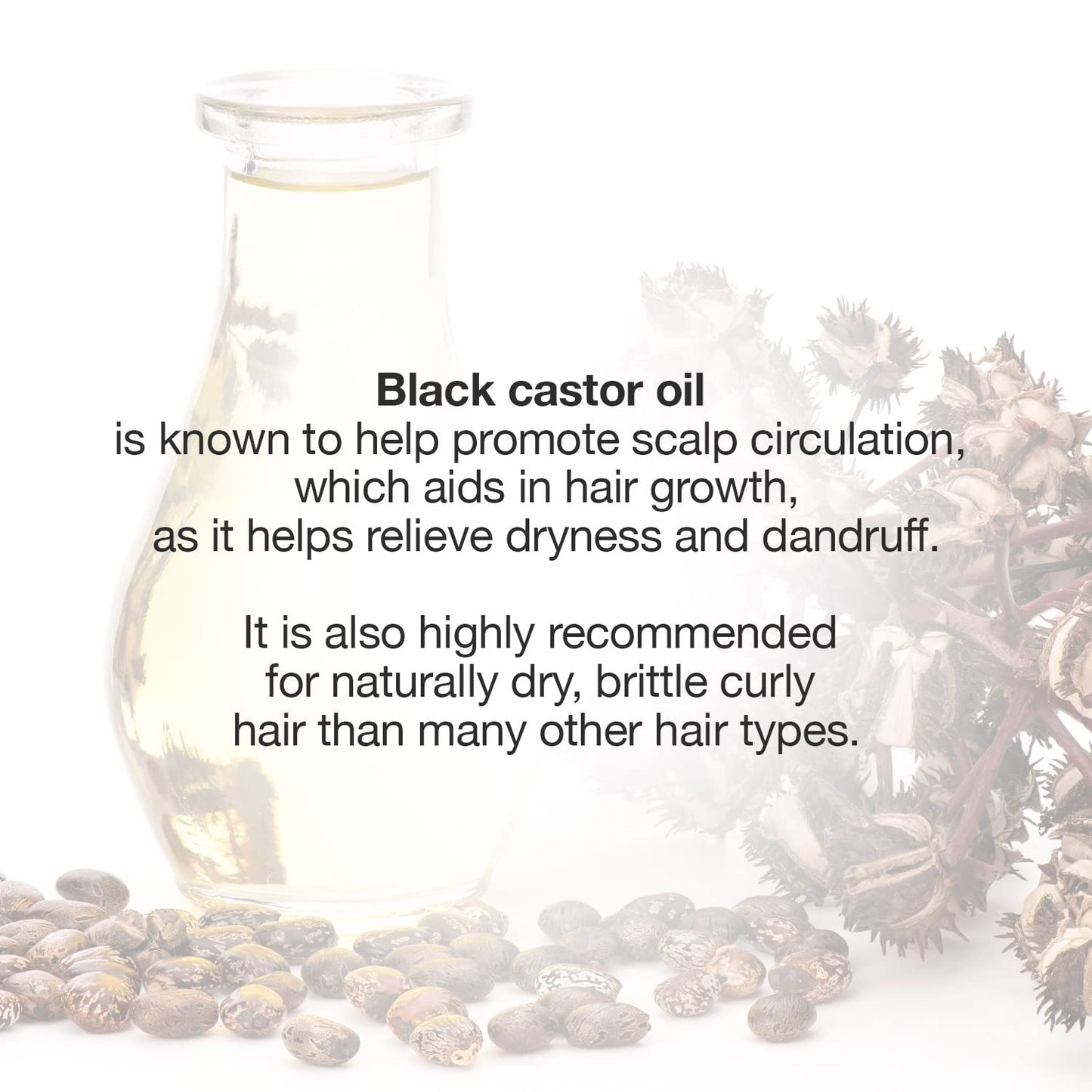 STAR CARE 100% Virgin Jamaican Black Castor Oil 4oz/ 120ml (Lavender)